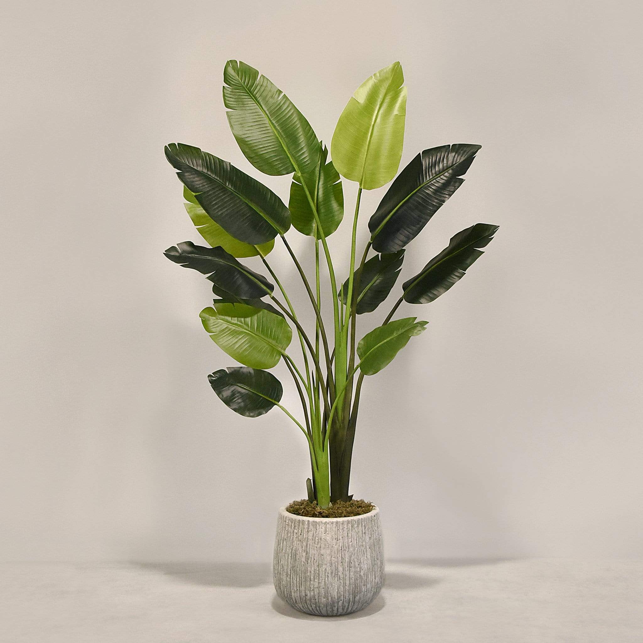 Artificial Travelers Palm with Pot - Image 2