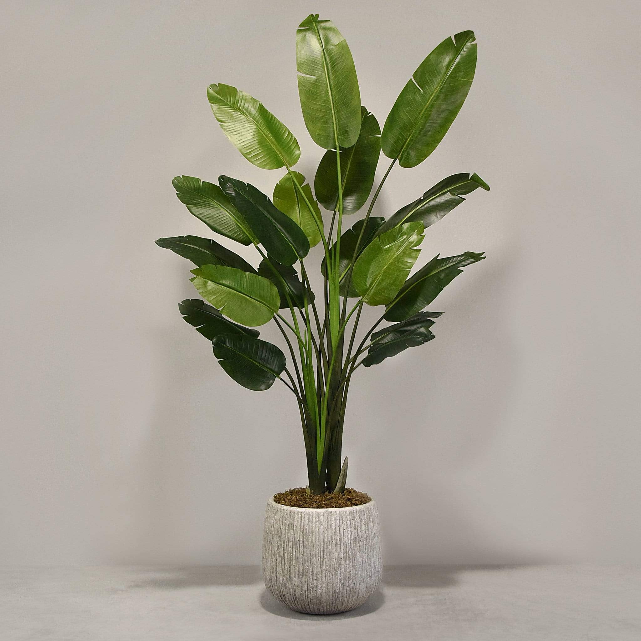 Artificial Travelers Palm with Pot - Image 3