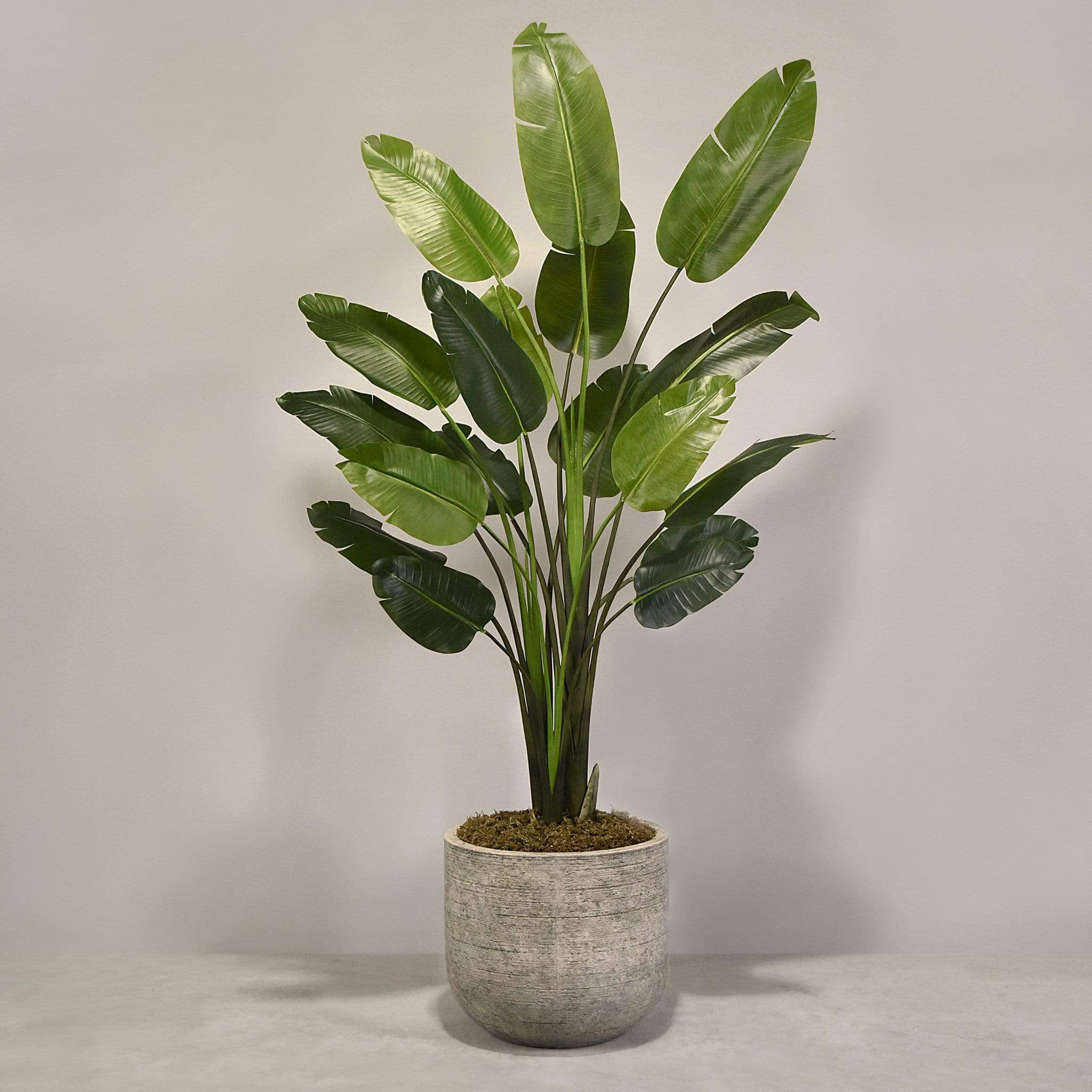 Artificial Travelers Palm with Pot - Image 4