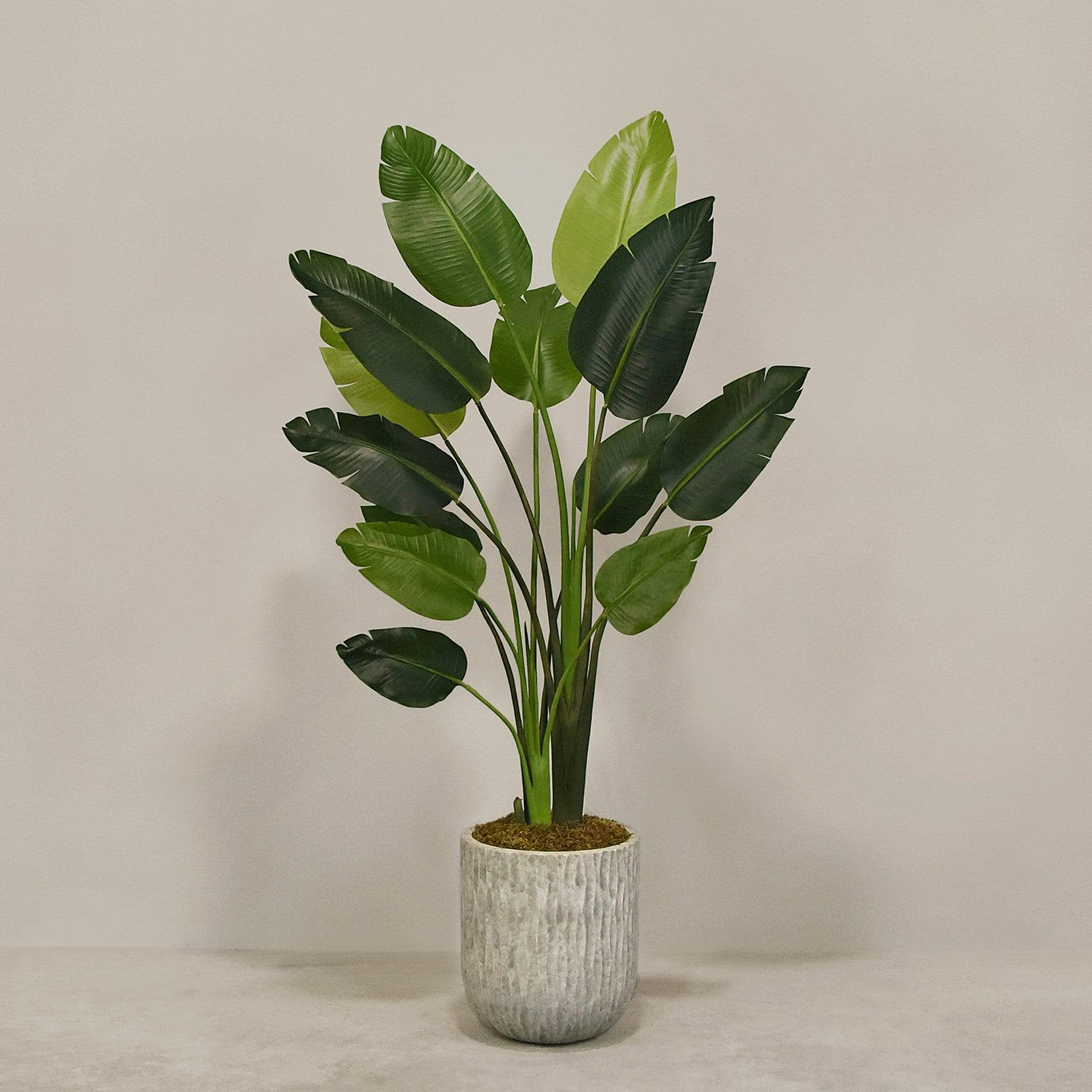 Artificial Travelers Palm with Pot - Image 2