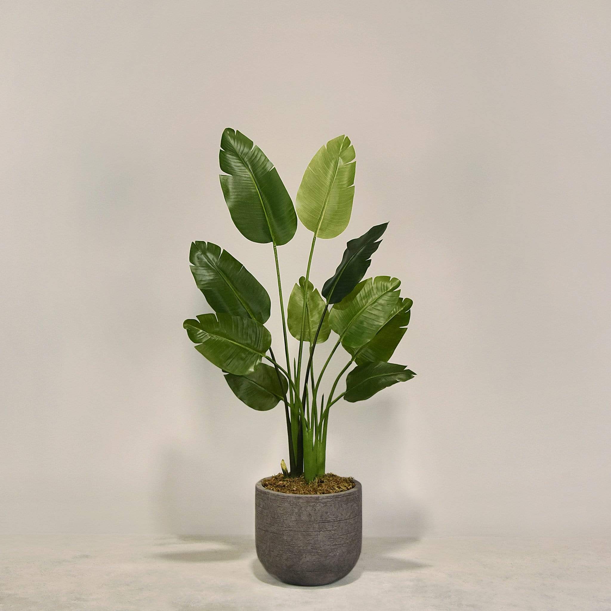 Artificial Travelers Palm with Pot - Image 5