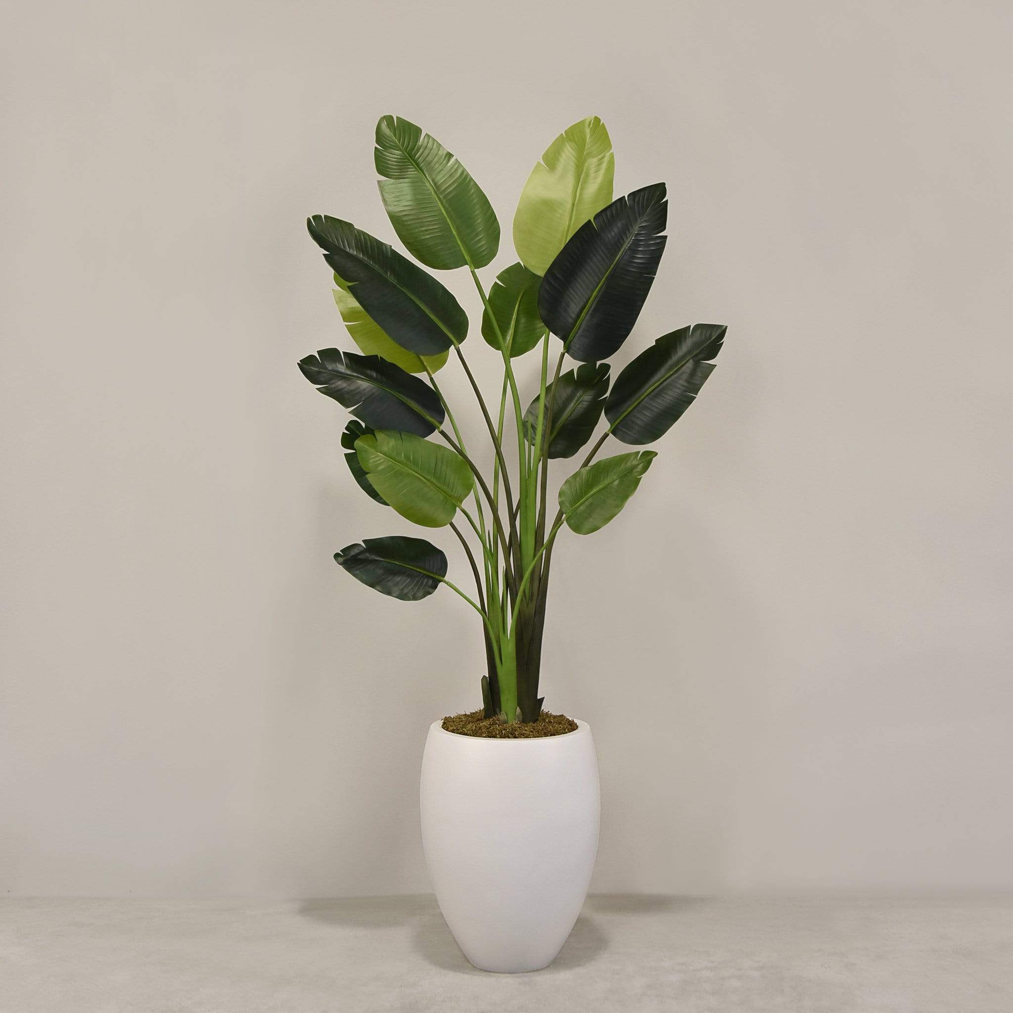 Artificial Travelers Palm with Pot - Image 2