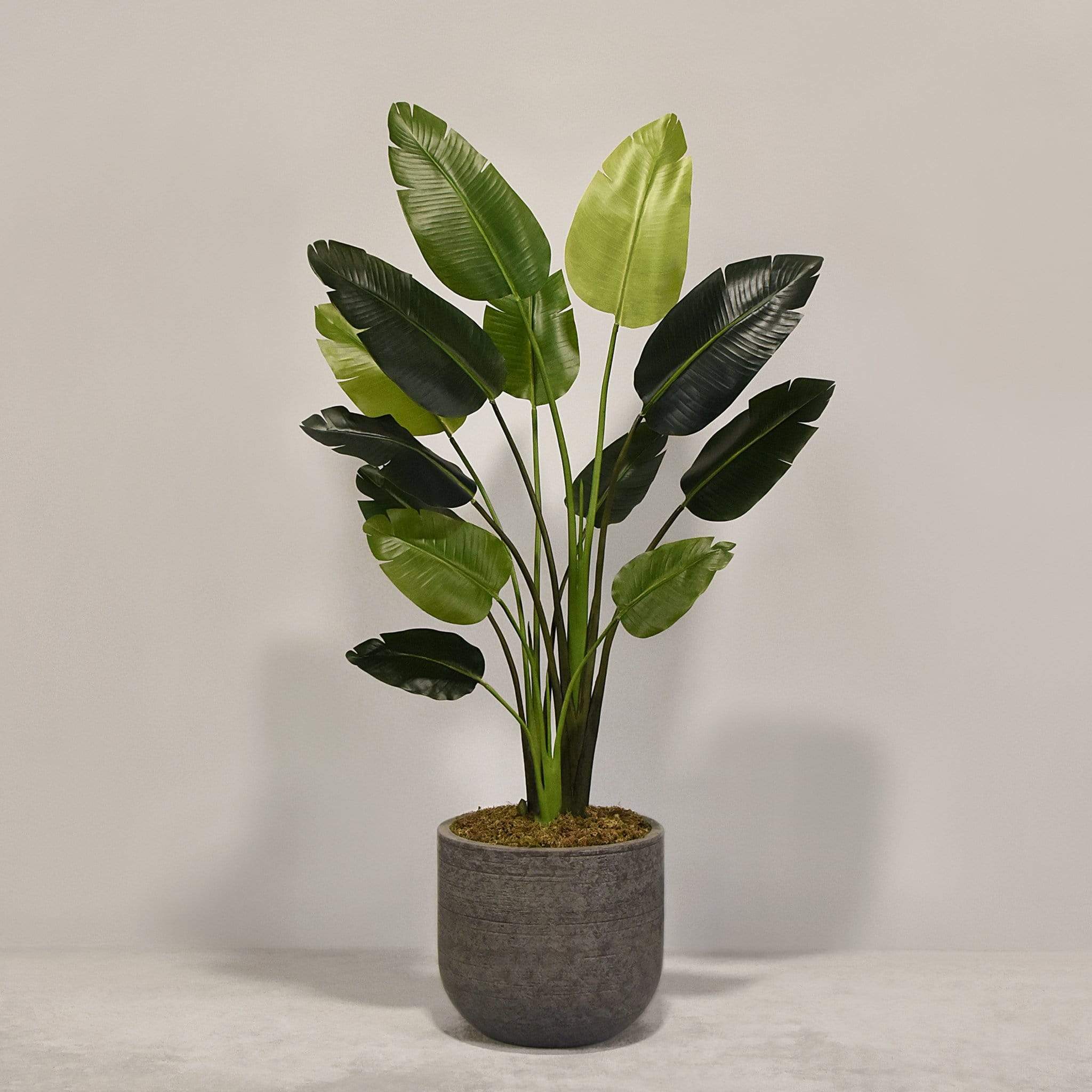 Artificial Travelers Palm with Pot - Image 6