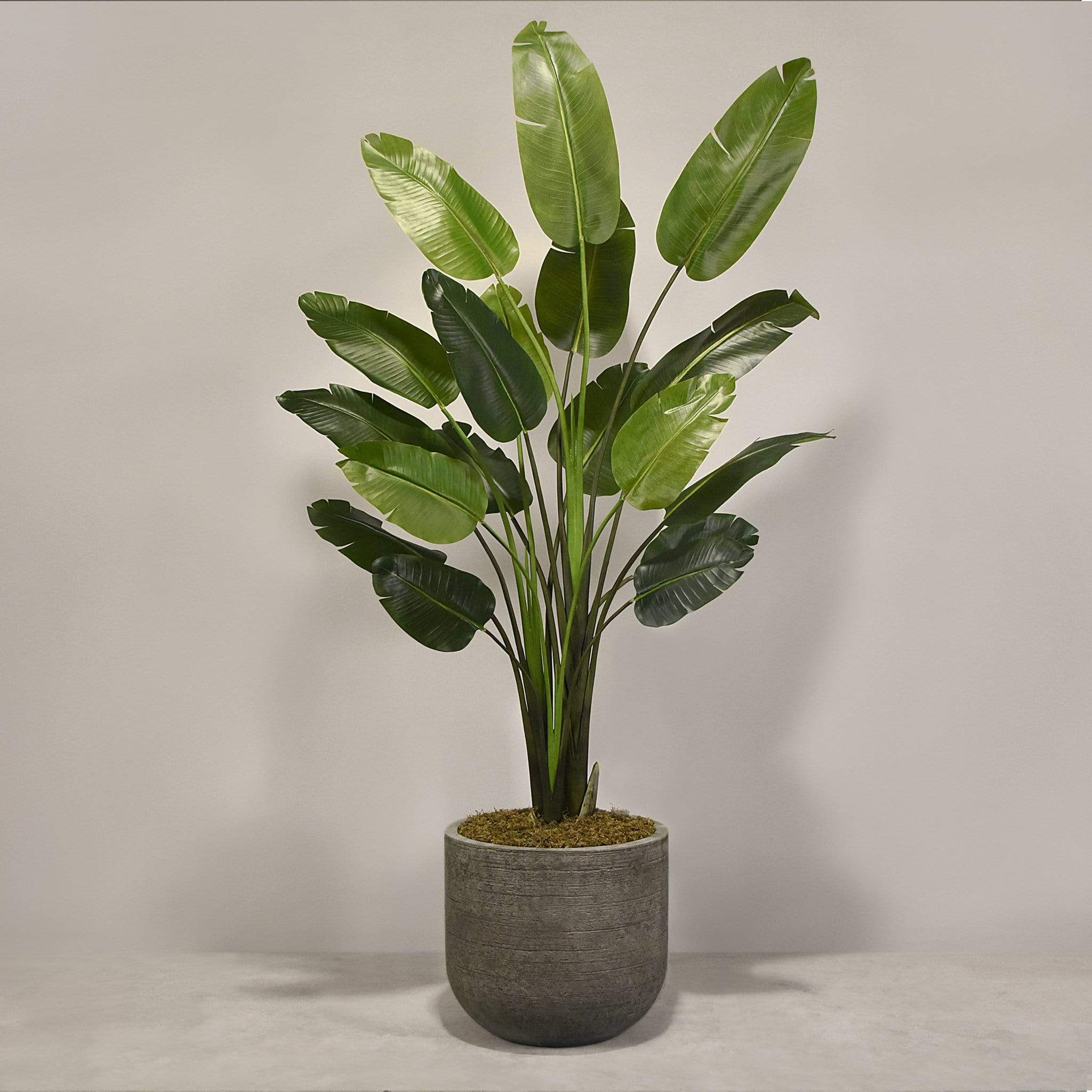 Artificial Travelers Palm with Pot - Image 7