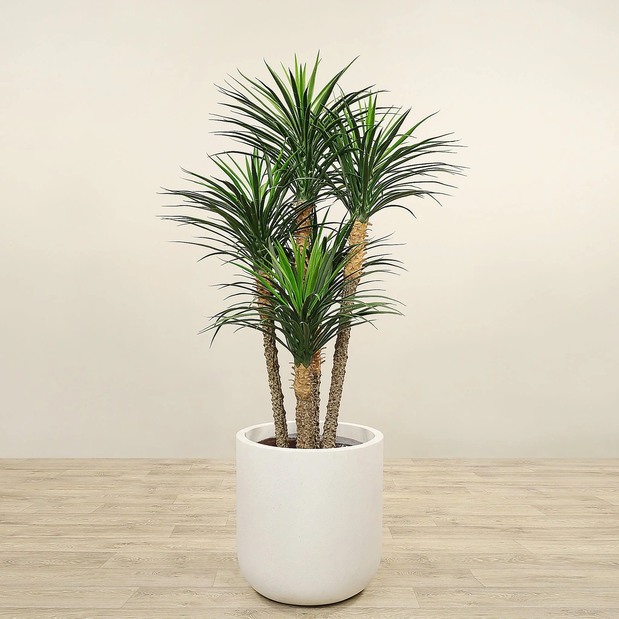 Artificial Yucca Plant 170cm