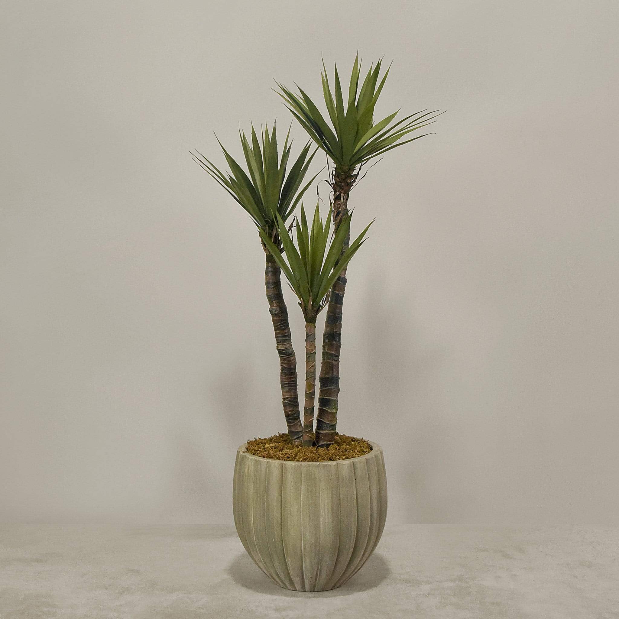 Artificial Yucca Plant With Pot - Image 3