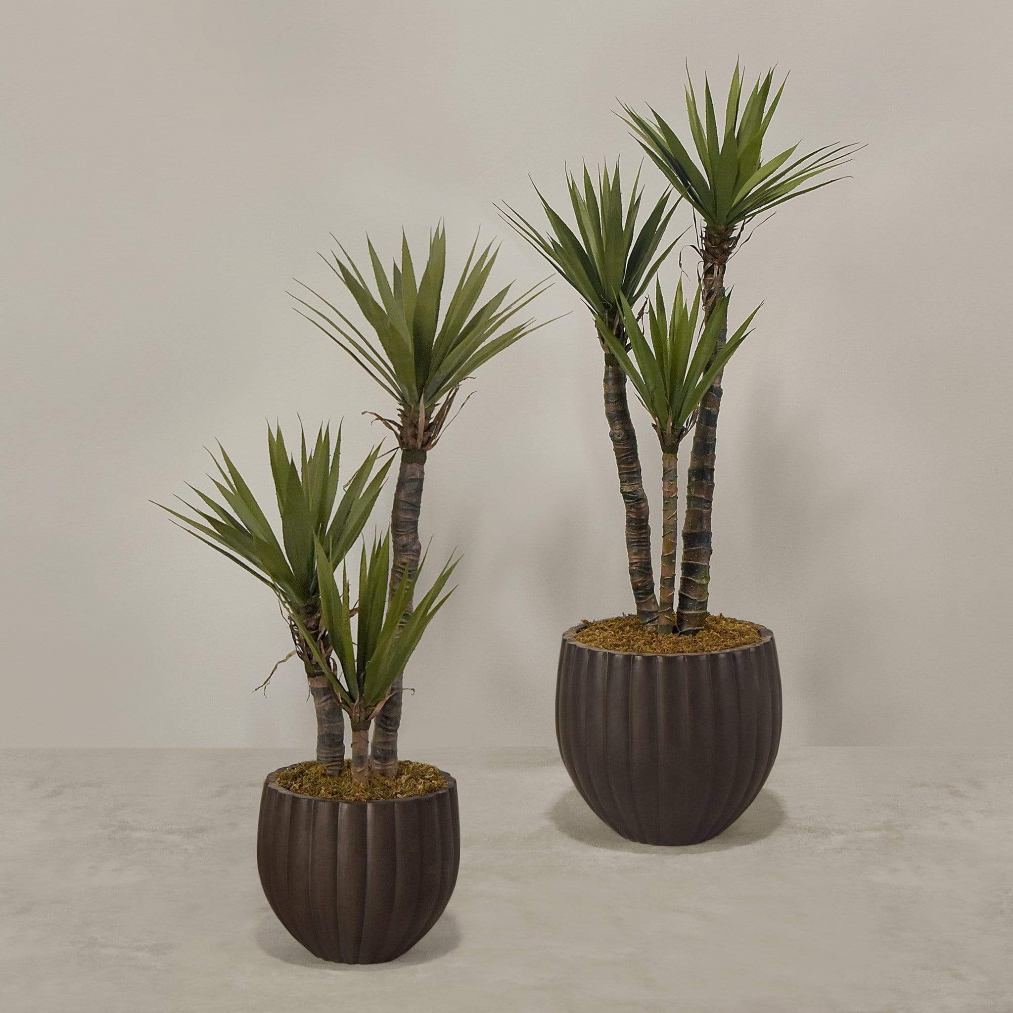 Artificial Yucca Plant With Pot - Image 4