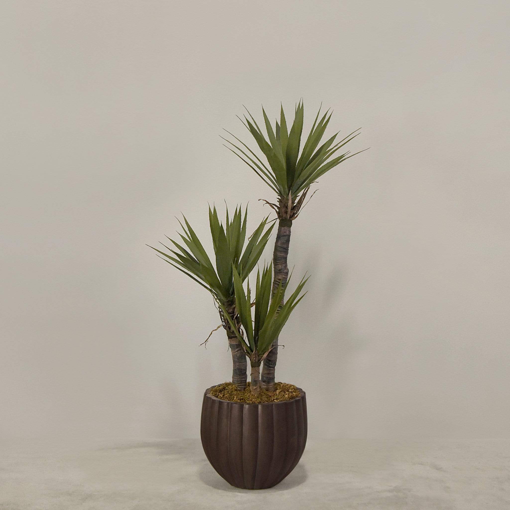 Artificial Yucca Plant With Pot - Image 5