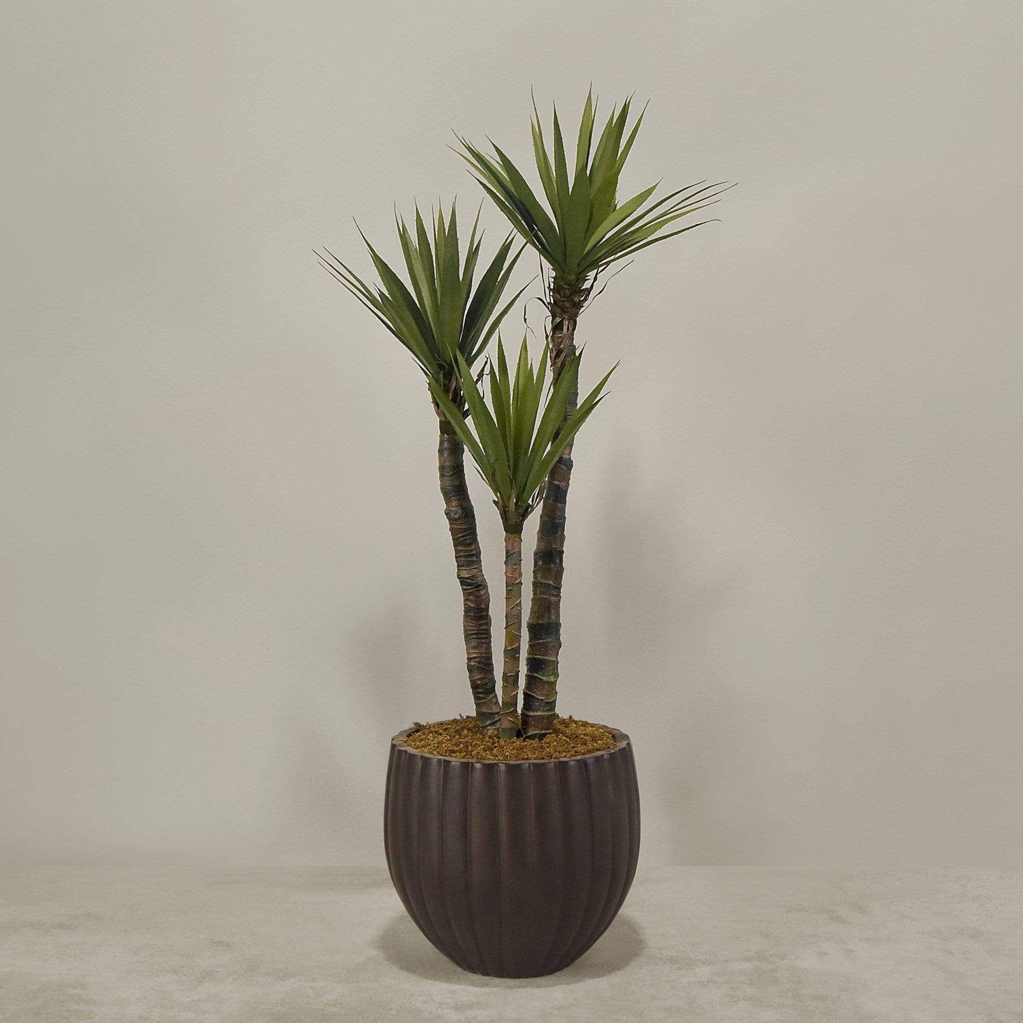 Artificial Yucca Plant With Pot - Image 6
