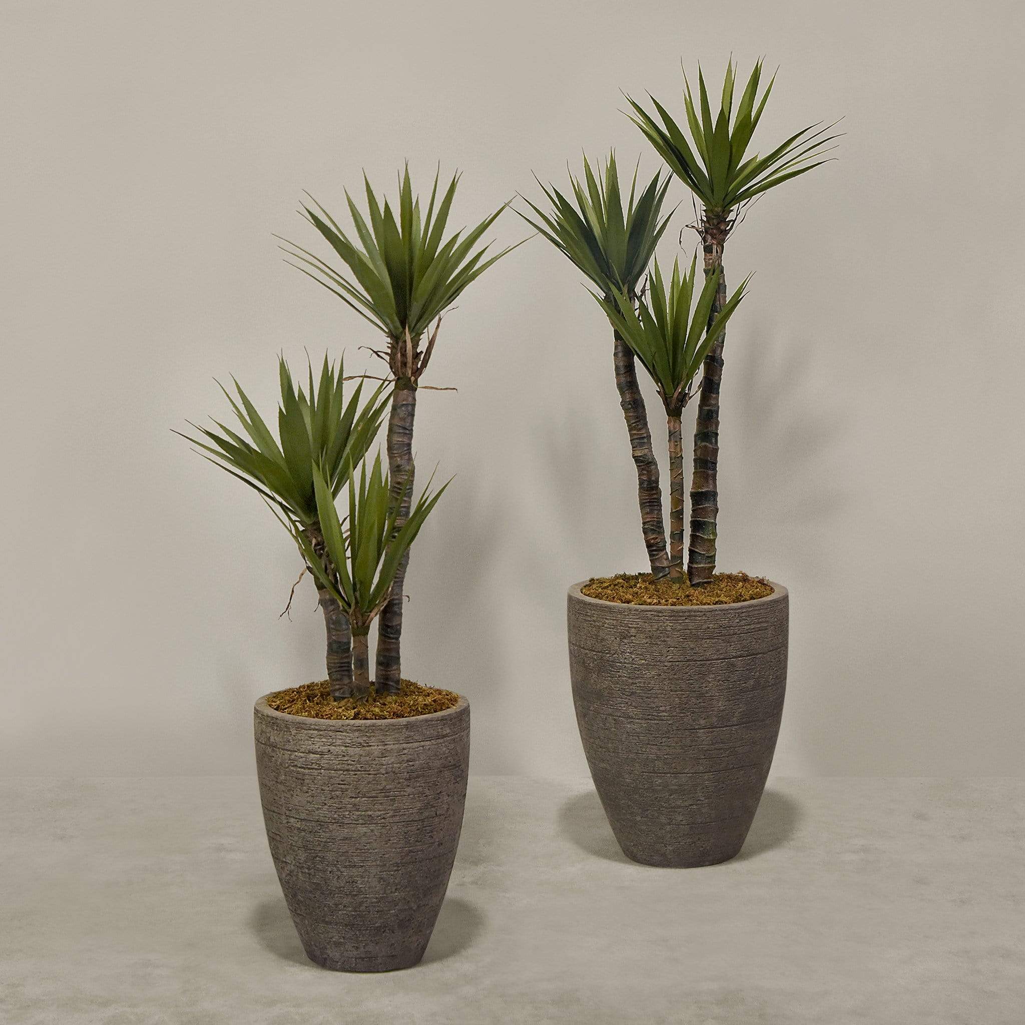 Artificial Yucca Plant With Pot