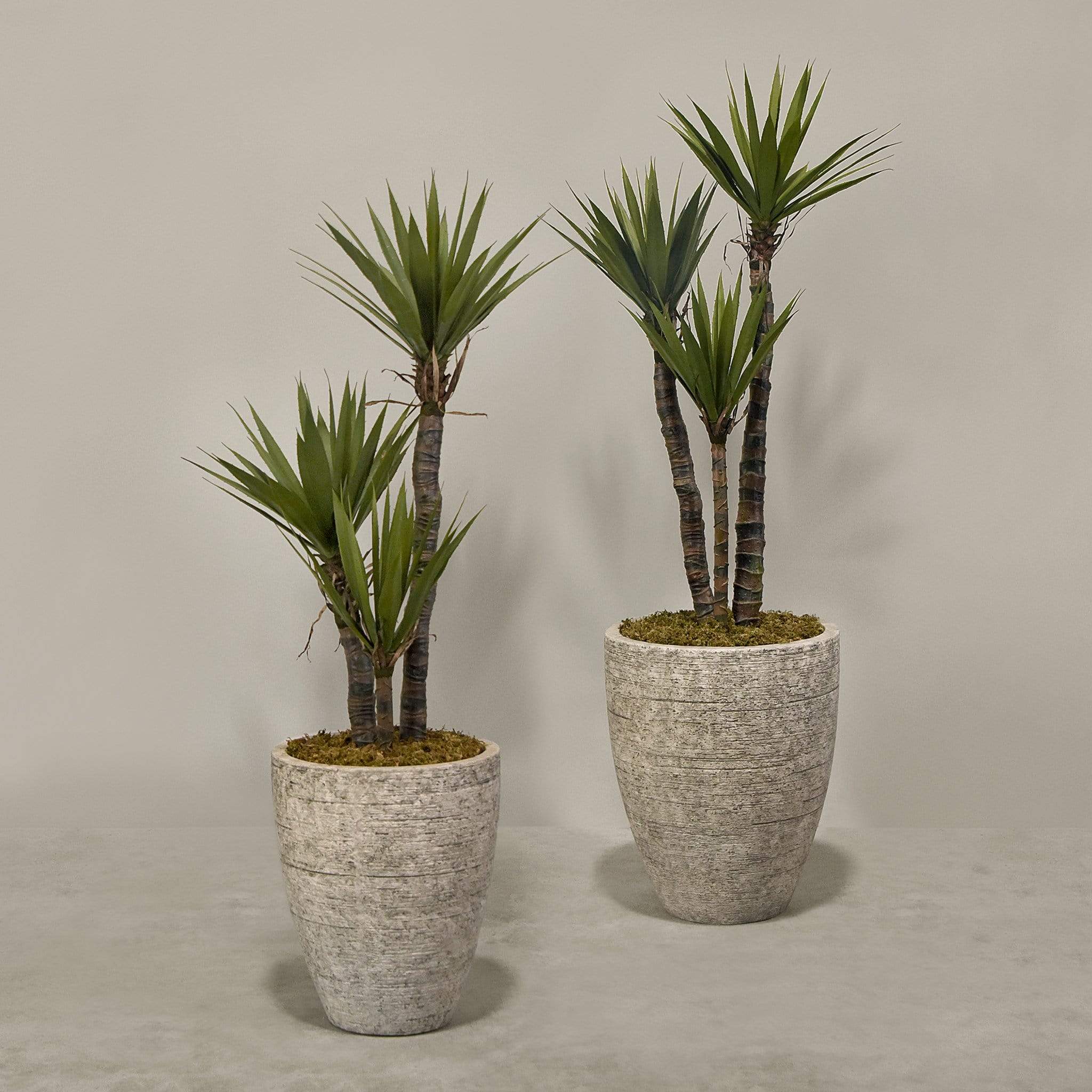 Artificial Yucca Plant With Pot - Image 2