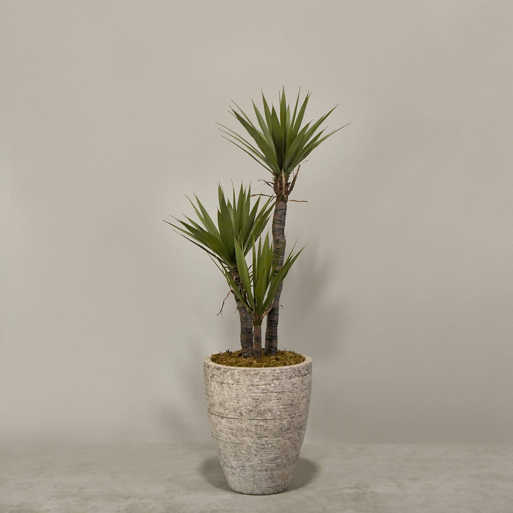 Artificial Yucca Plant With Pot - Image 3