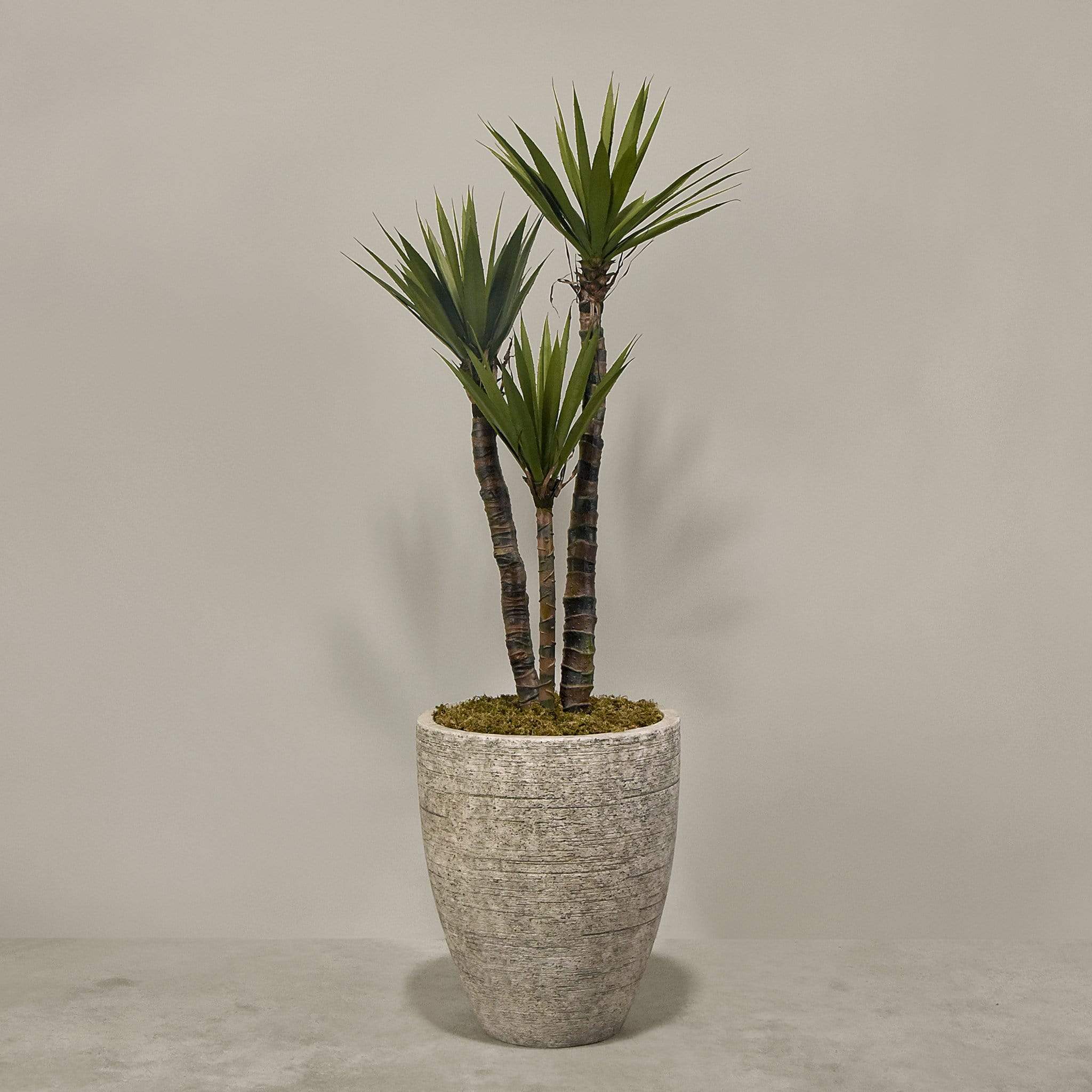 Artificial Yucca Plant With Pot - Image 4