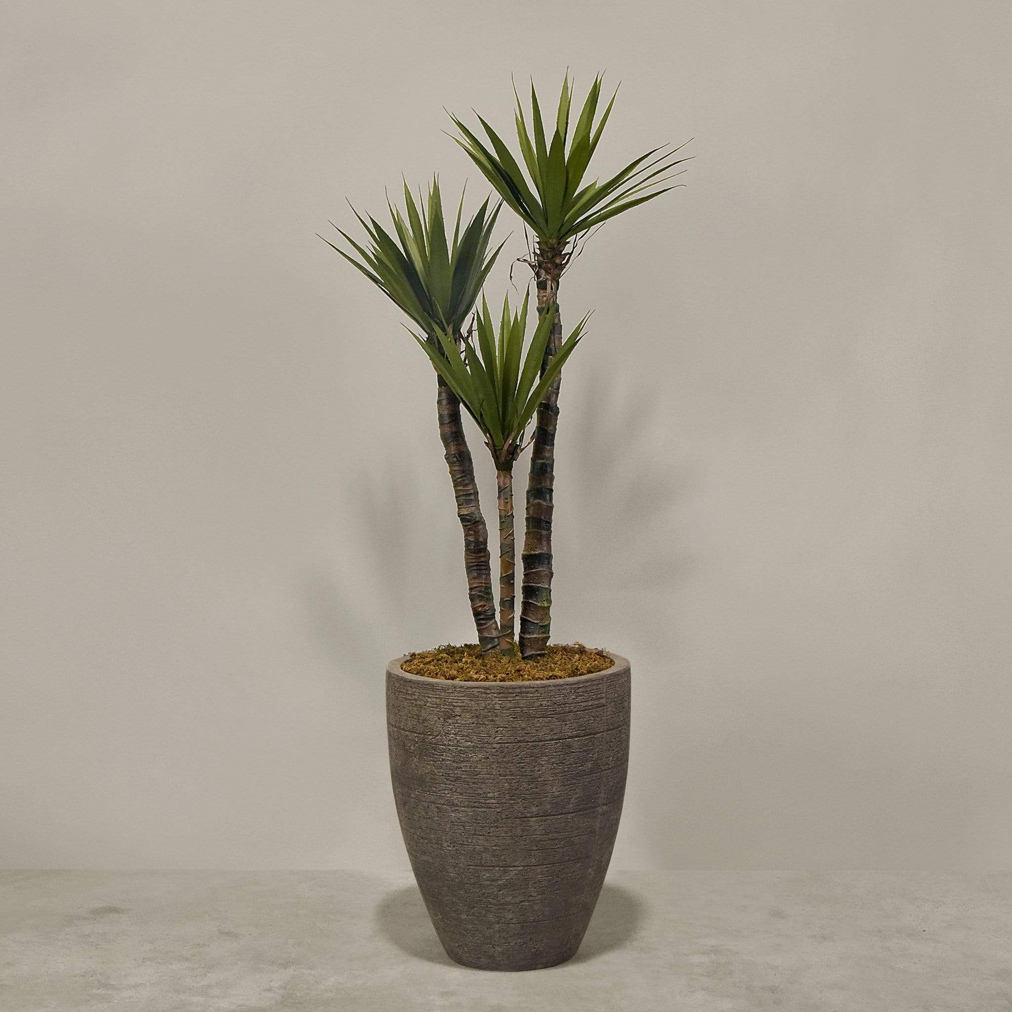 Artificial Yucca Plant With Pot - Image 6