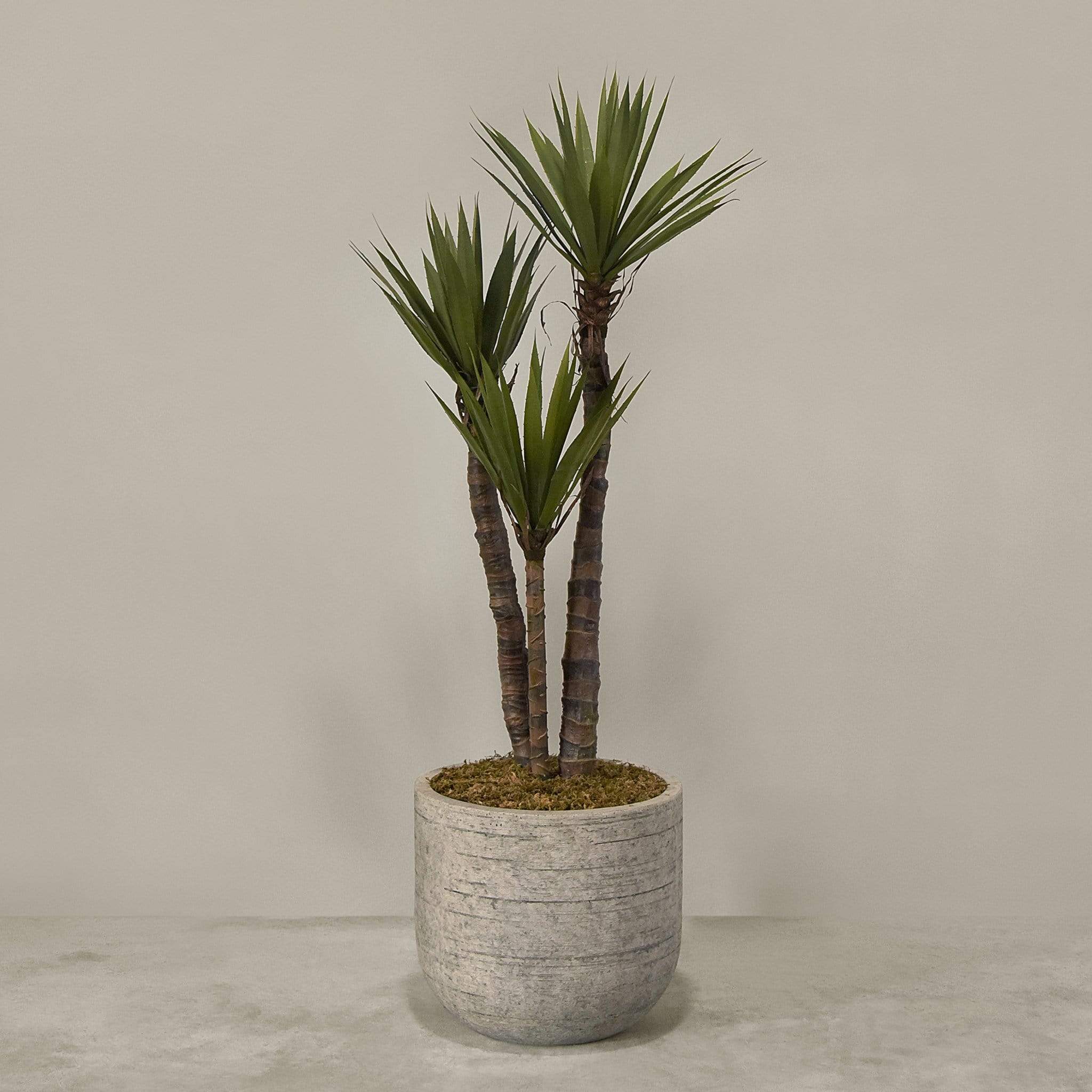 Artificial Yucca Plant With Pot - Image 3