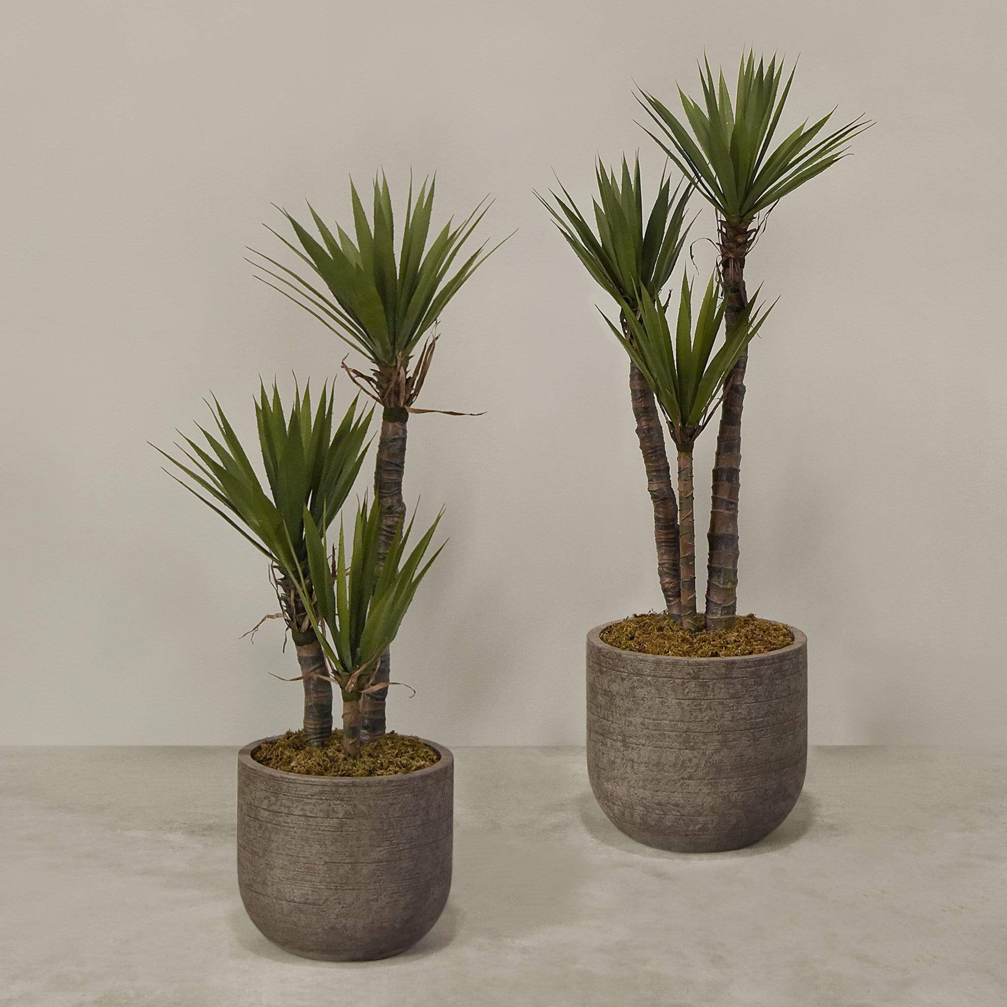 Artificial Yucca Plant With Pot - Image 4