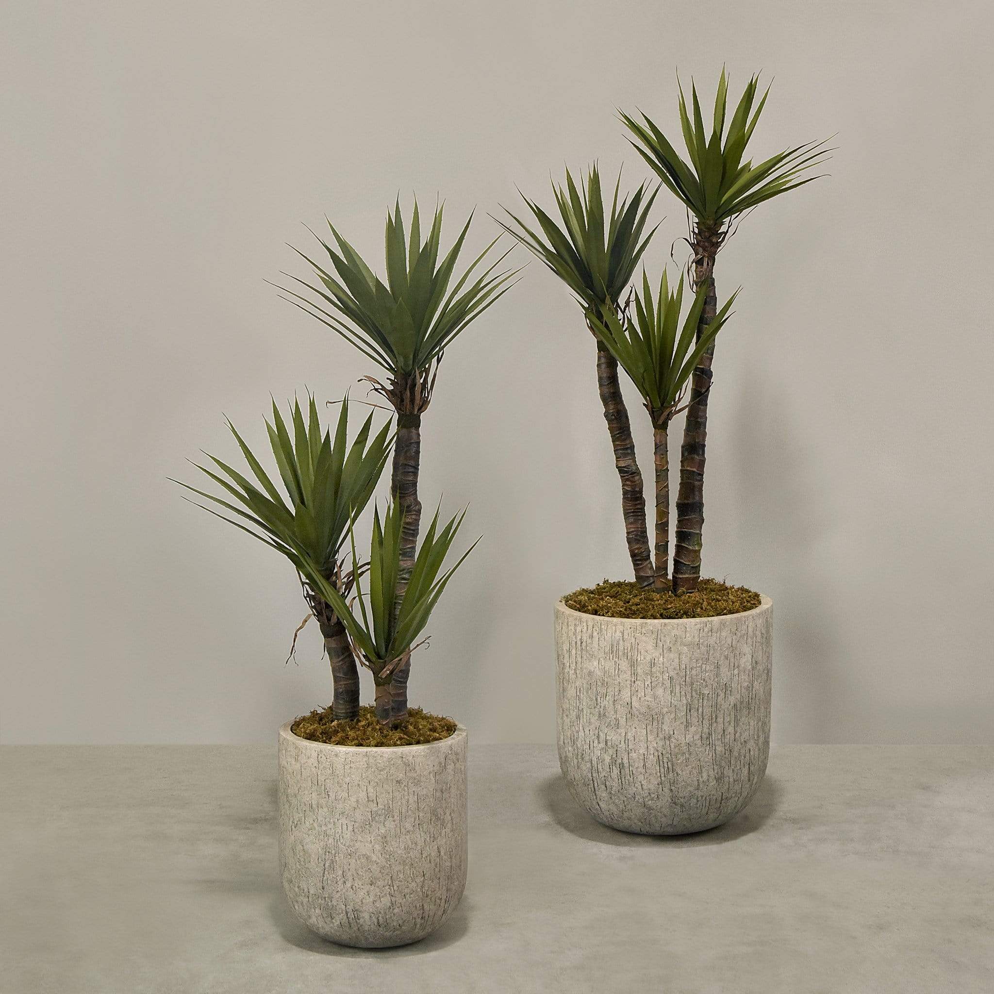 Artificial Yucca Plant With Pot