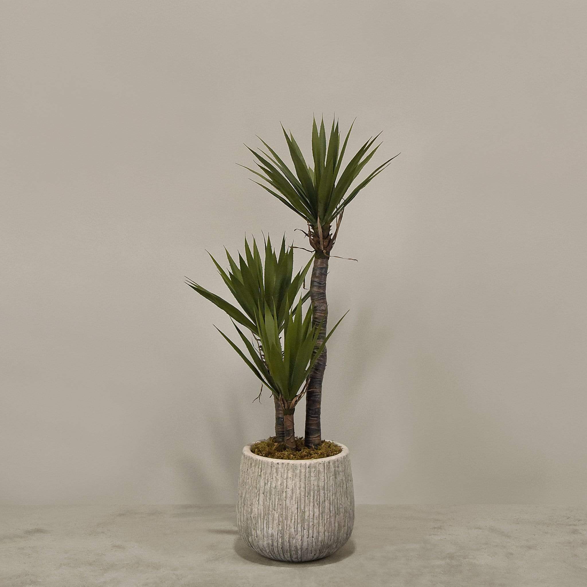 Artificial Yucca Plant With Pot - Image 2