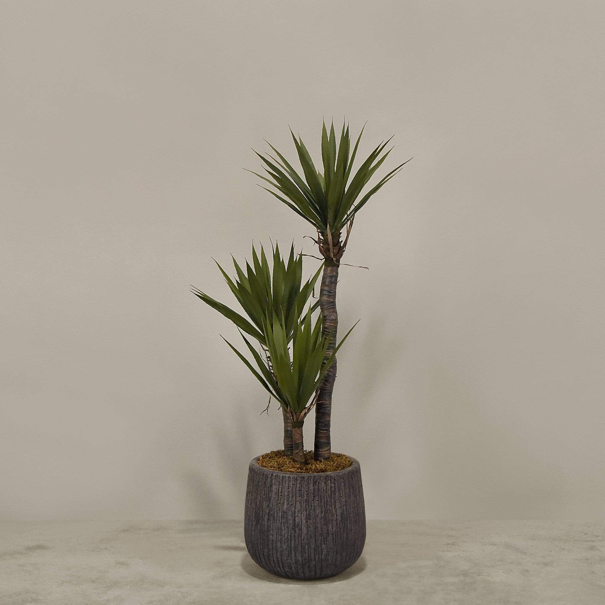 Artificial Yucca Plant With Pot - Image 5