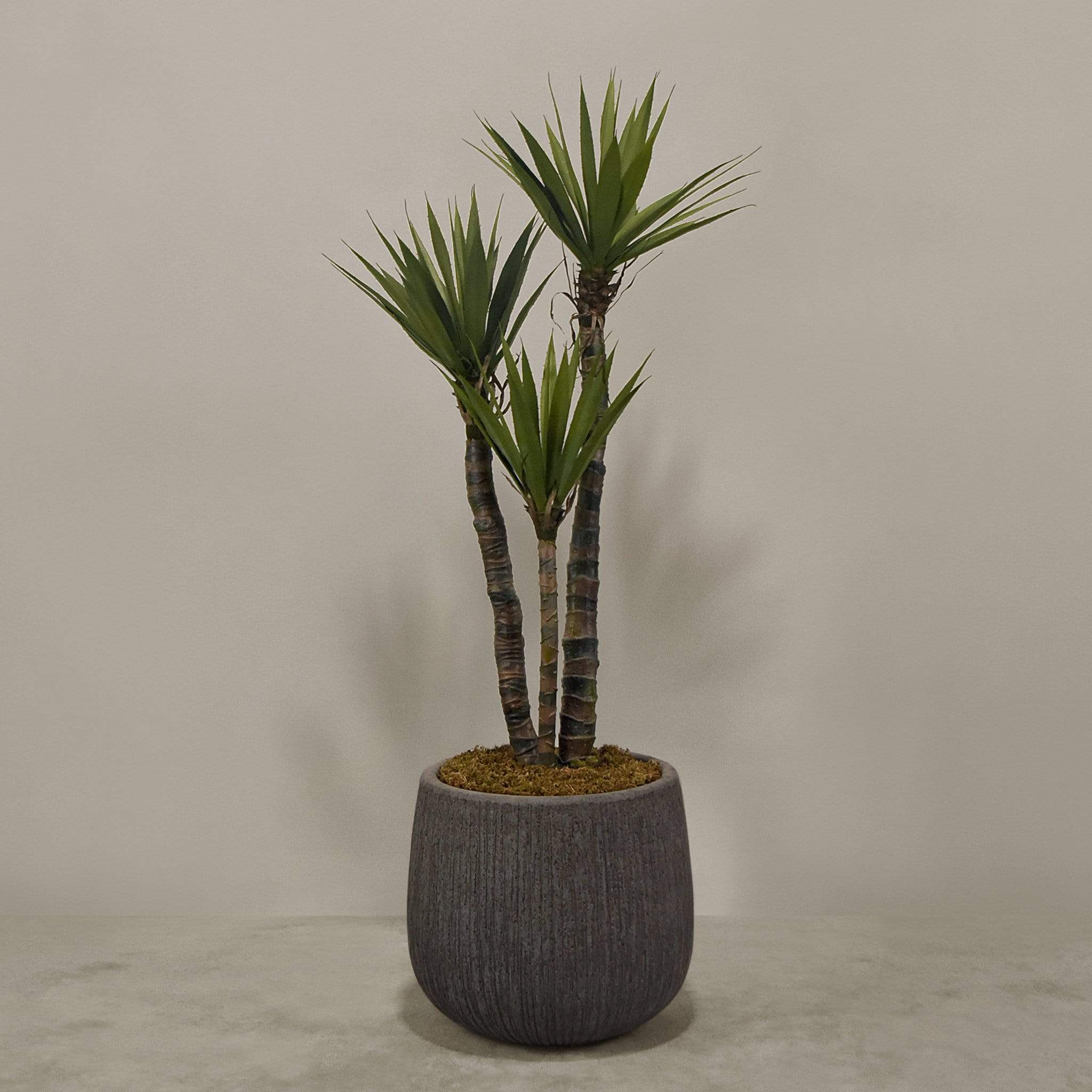 Artificial Yucca Plant With Pot - Image 6