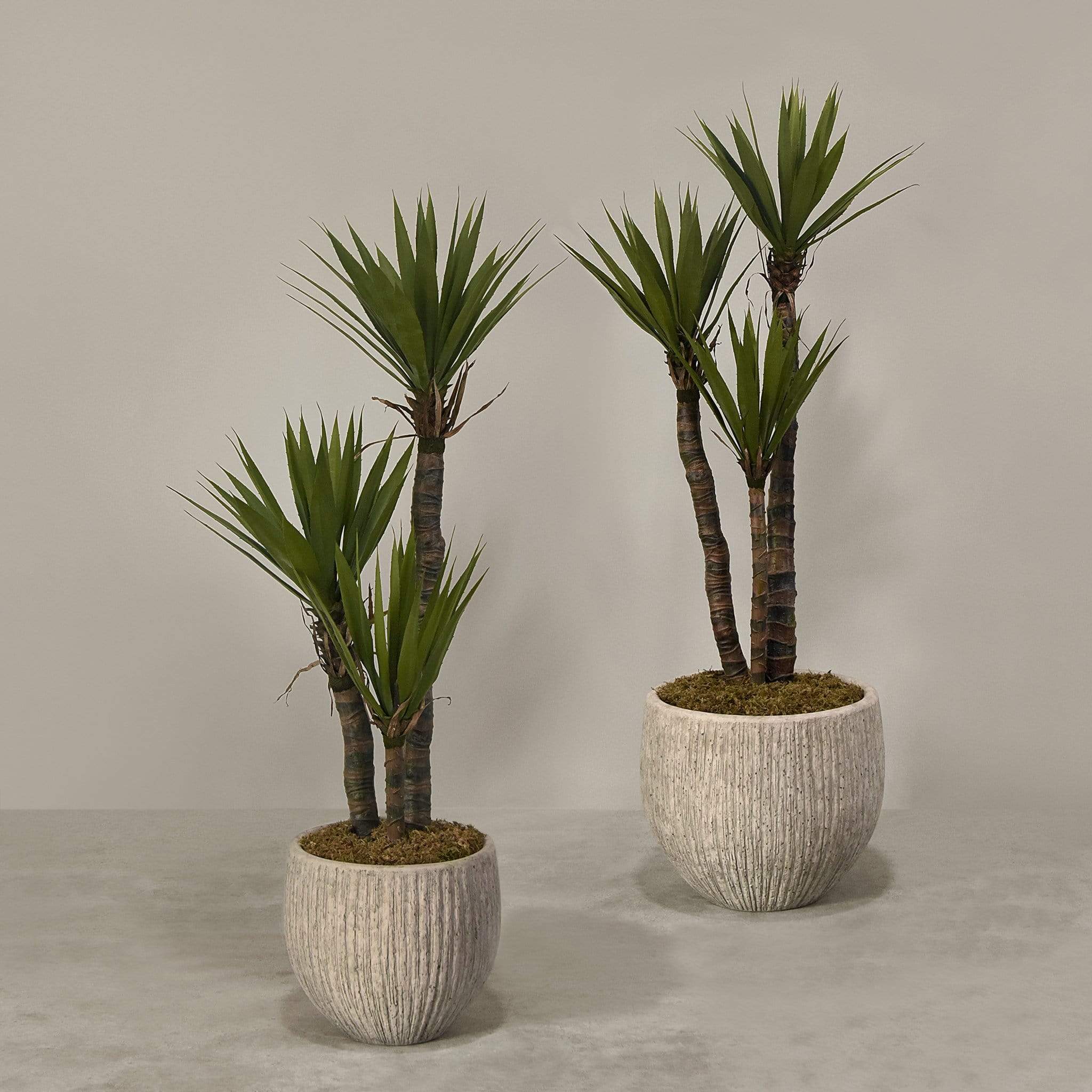 Artificial Yucca Plant With Pot