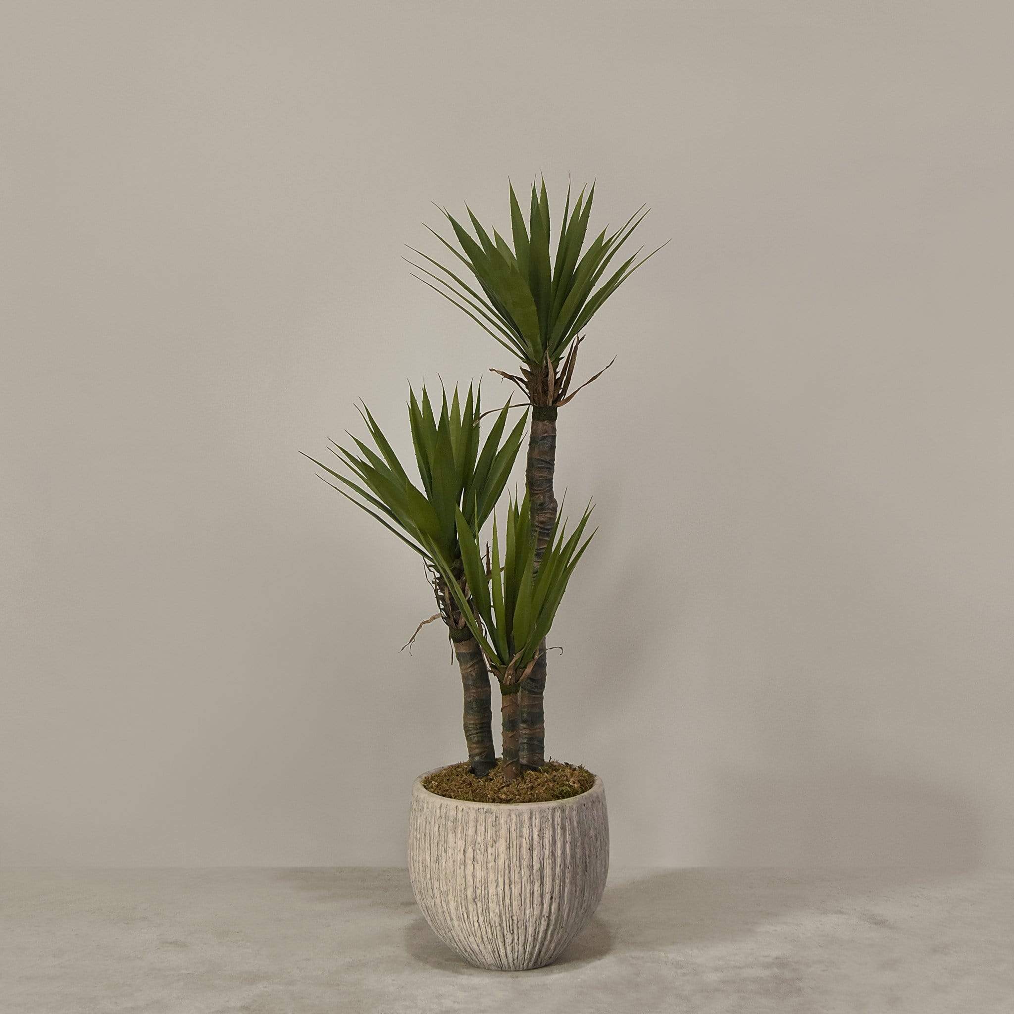 Artificial Yucca Plant With Pot - Image 2