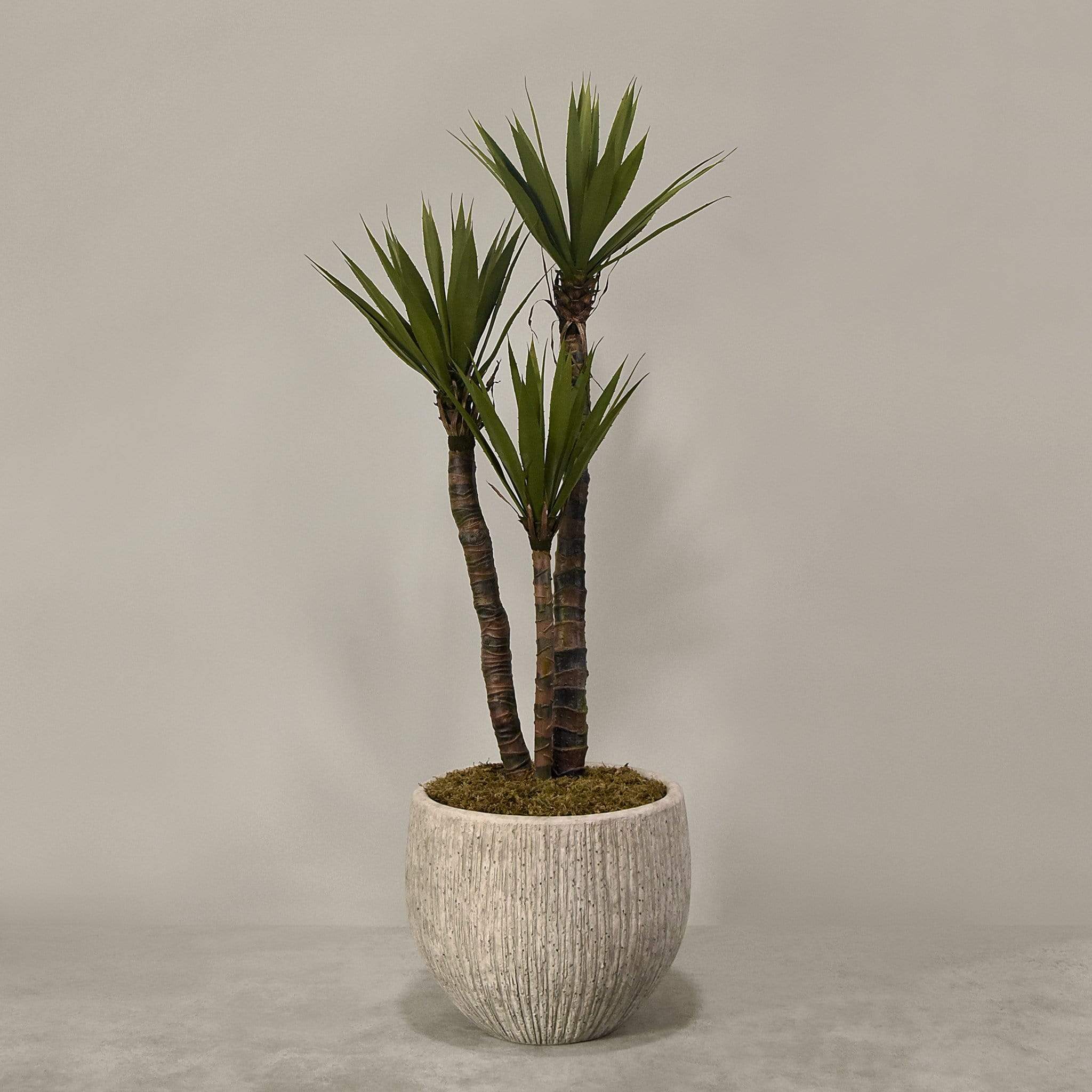 Artificial Yucca Plant With Pot - Image 3