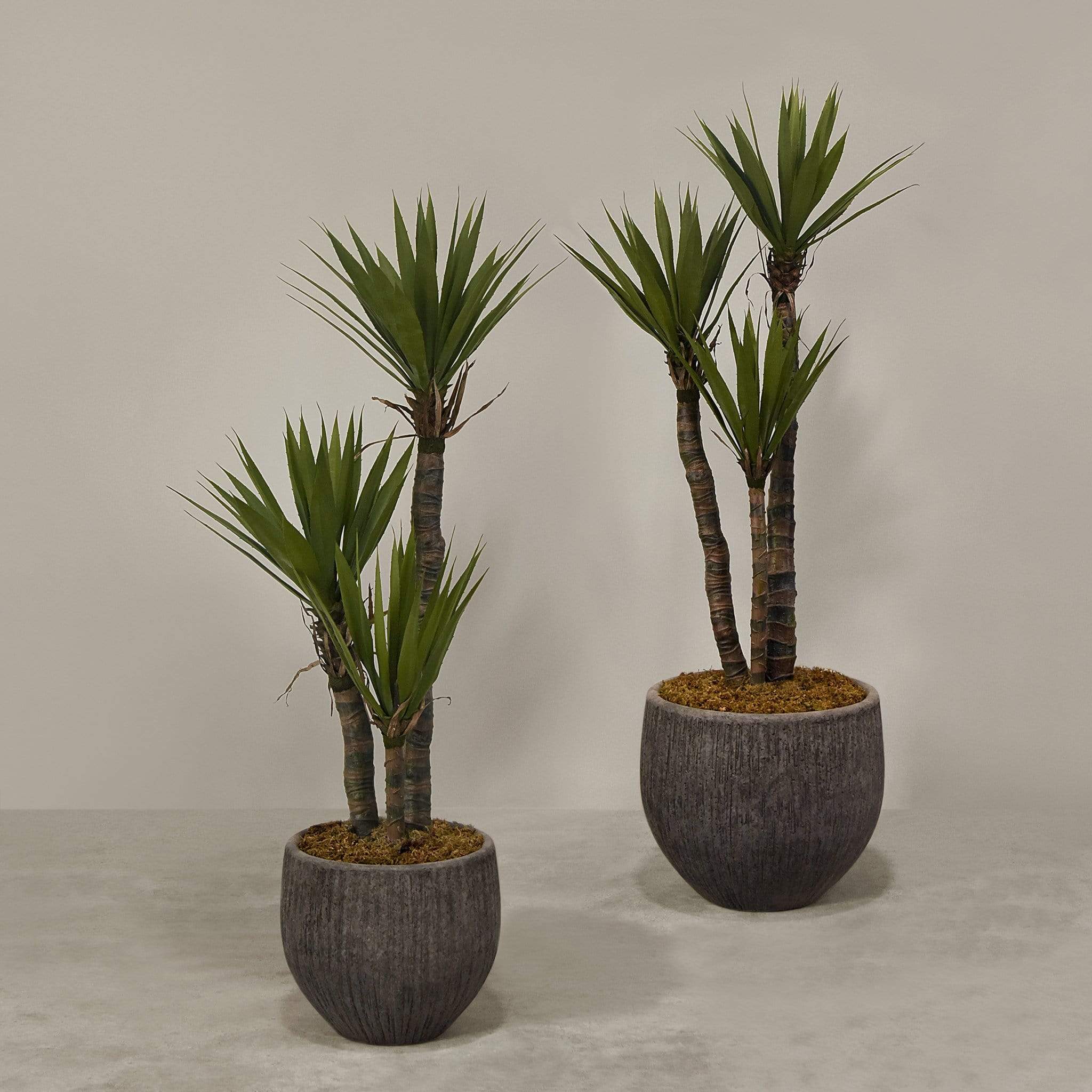Artificial Yucca Plant With Pot - Image 4