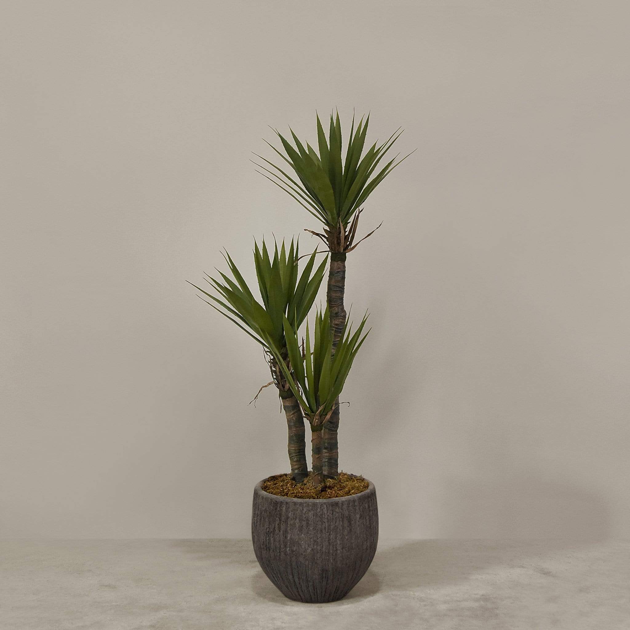 Artificial Yucca Plant With Pot - Image 5