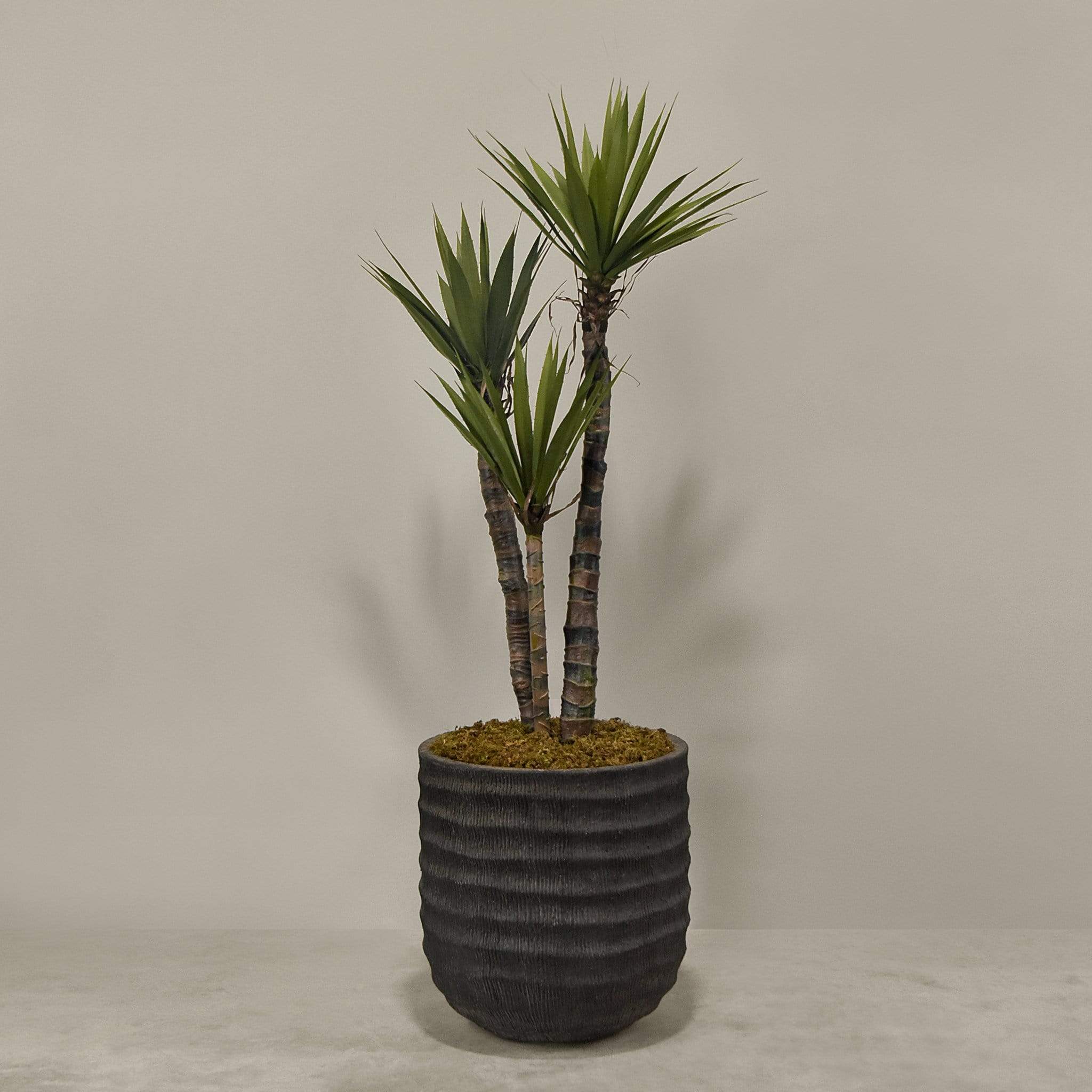 Artificial Yucca Plant With Pot - Image 3