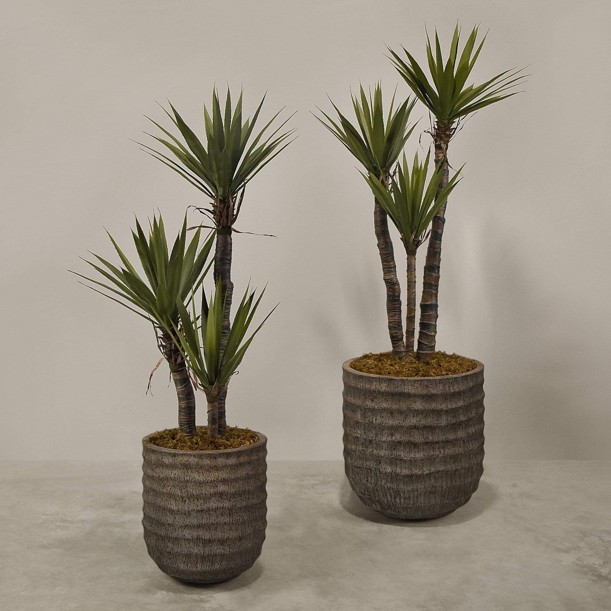Artificial Yucca Plant With Pot - Image 4
