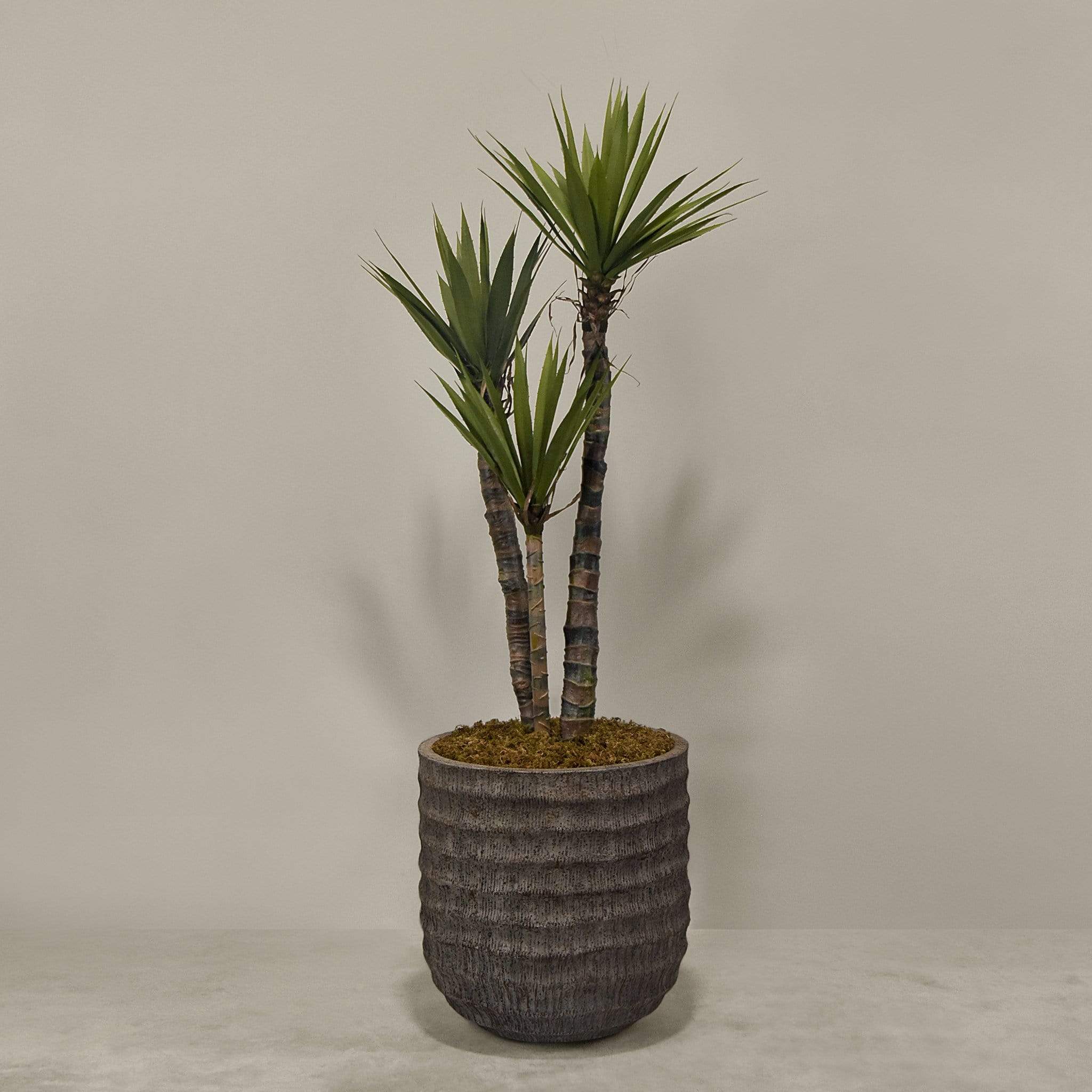 Artificial Yucca Plant With Pot - Image 6