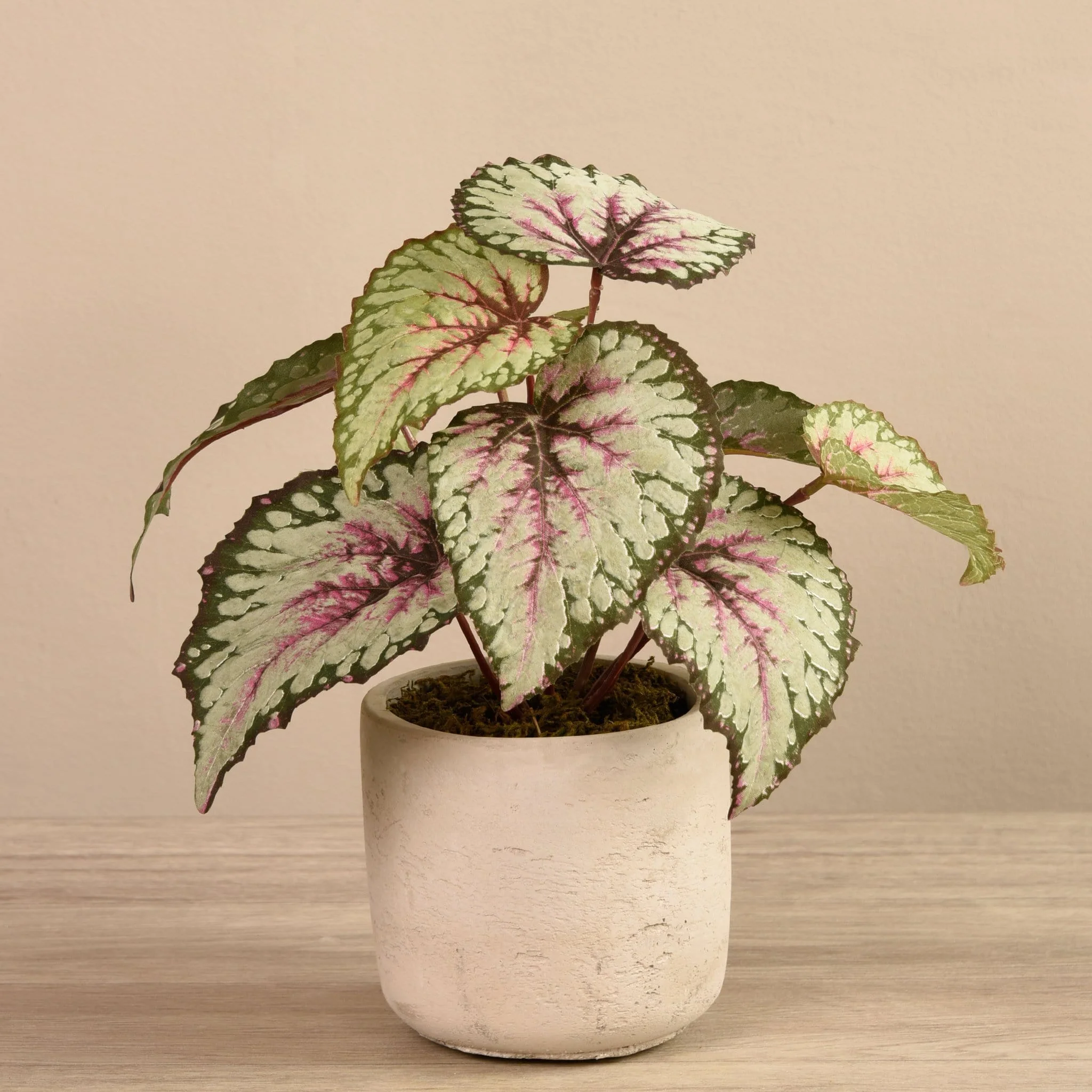 Artificial Begonia in Cement Pot - Image 2