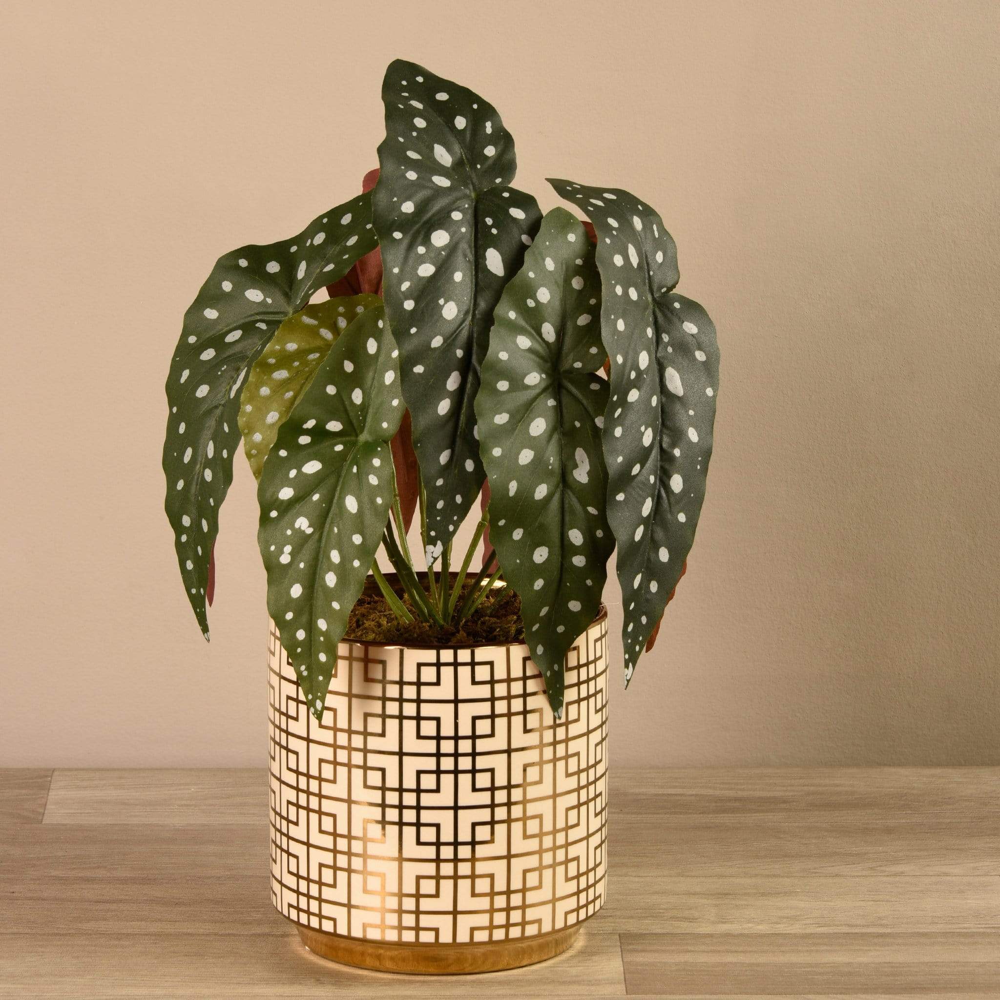 Artificial Begonia Maculata in White & Gold Pot