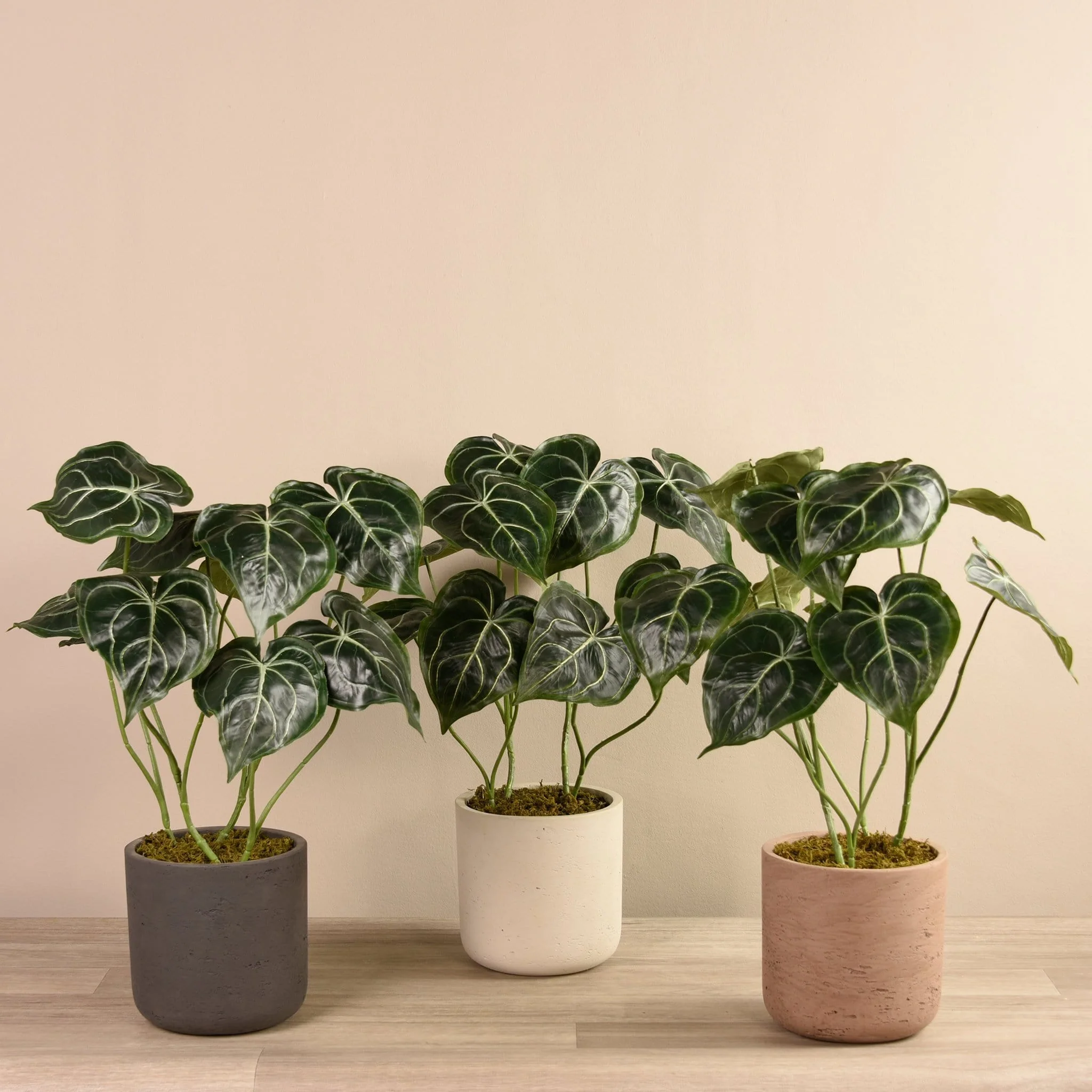 Artificial Anthurium Plant in Cement Pot
