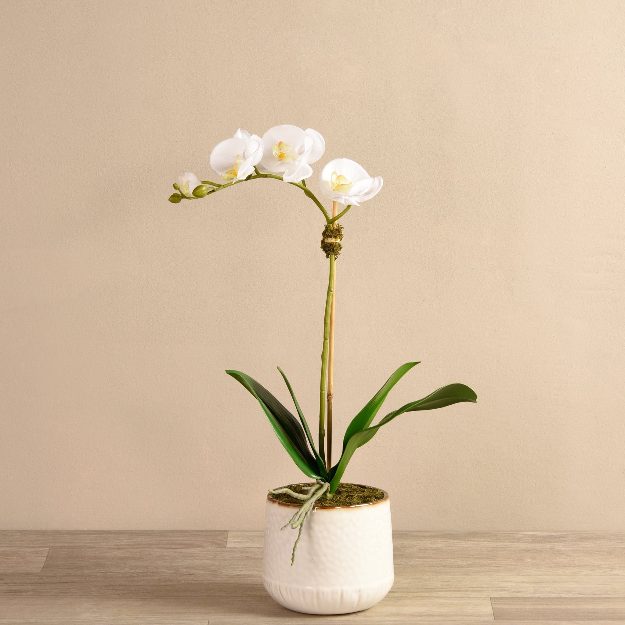 Bistro Artificial Orchid Arrangement - Image 2