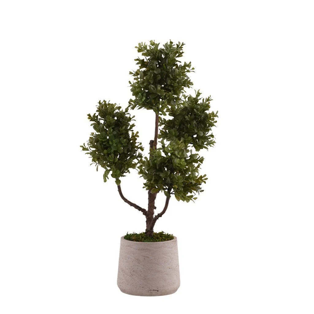 Artificial Potted Boxwood Plant - Image 3