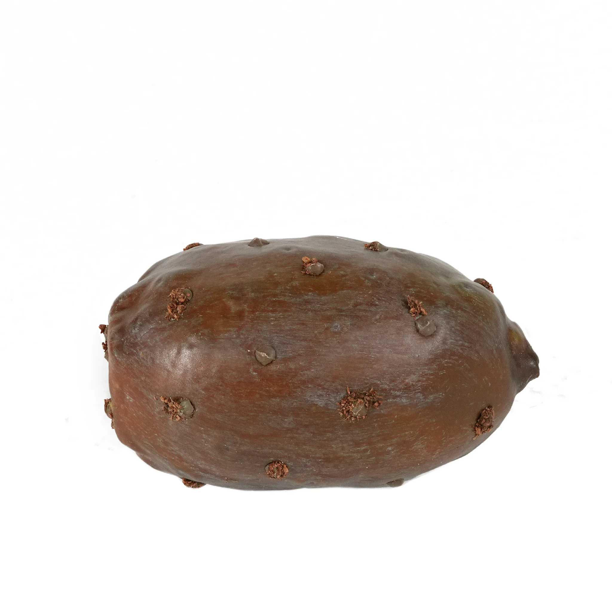 Cactus Fruit