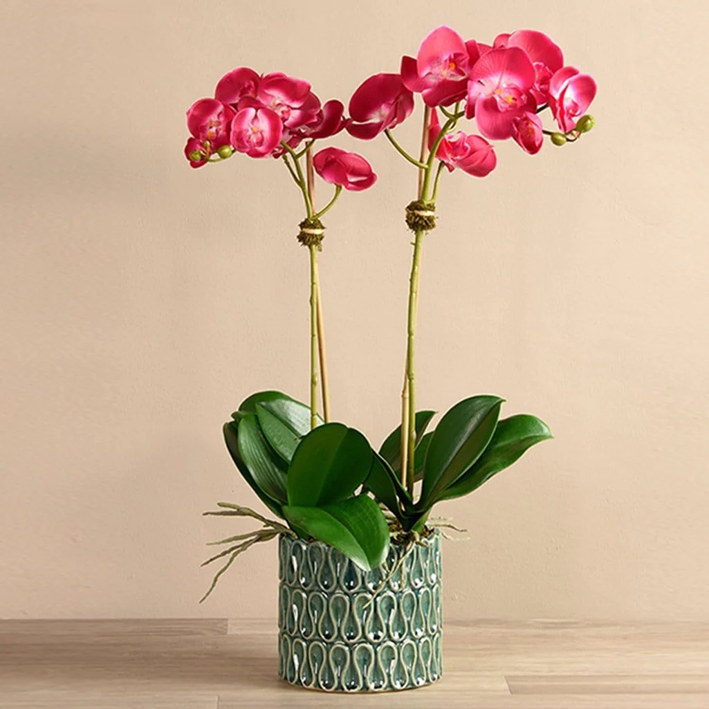 Artificial Orchid Arrangement - Image 8