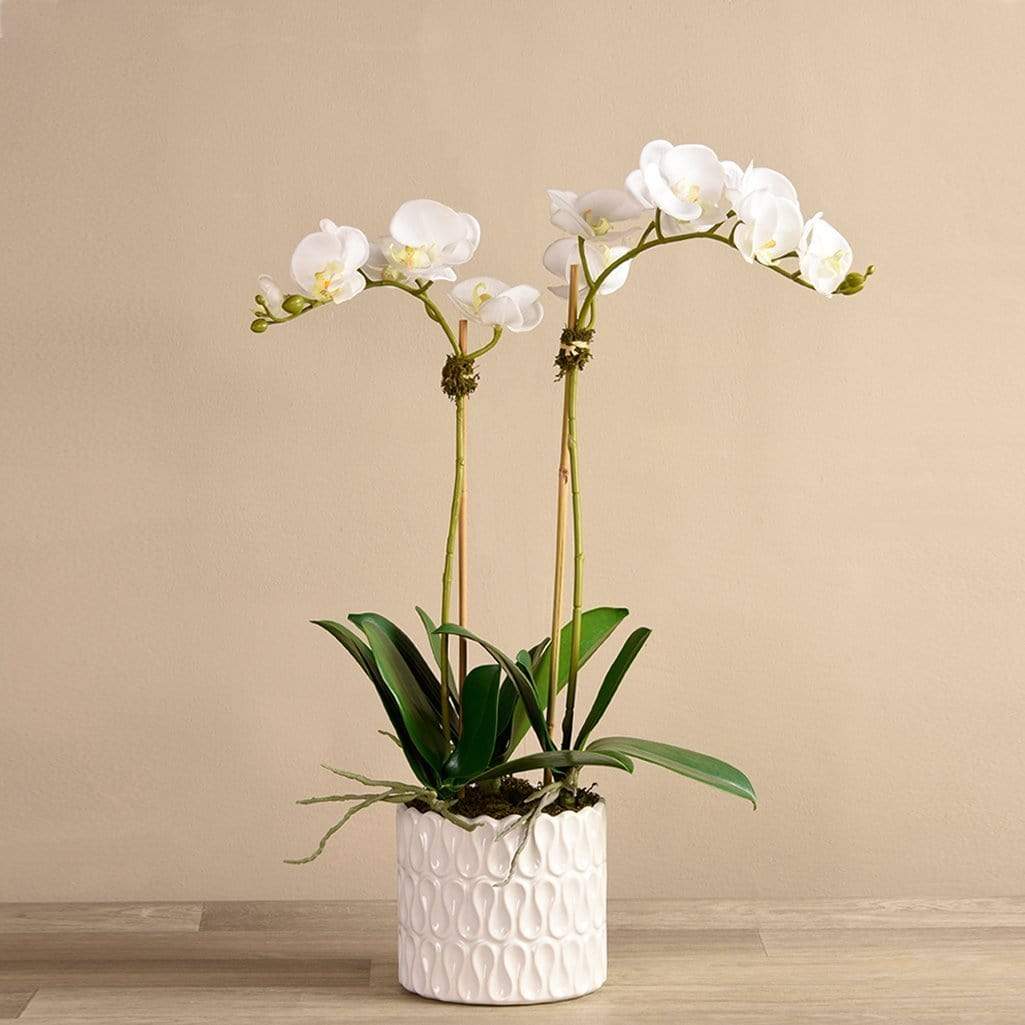 Artificial Orchid Arrangement - Image 6