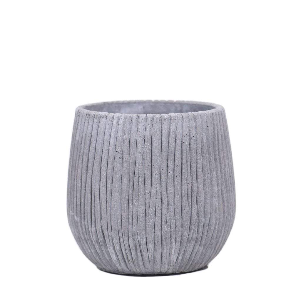 Cement Pot - Image 4