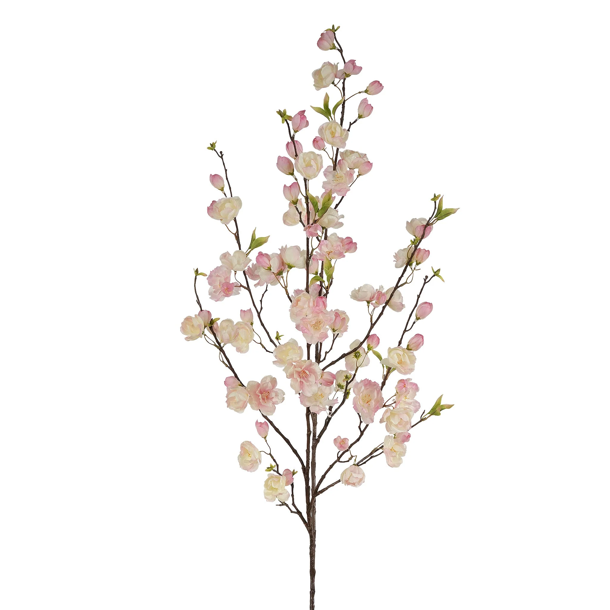 Cherry Blossom - Image 2