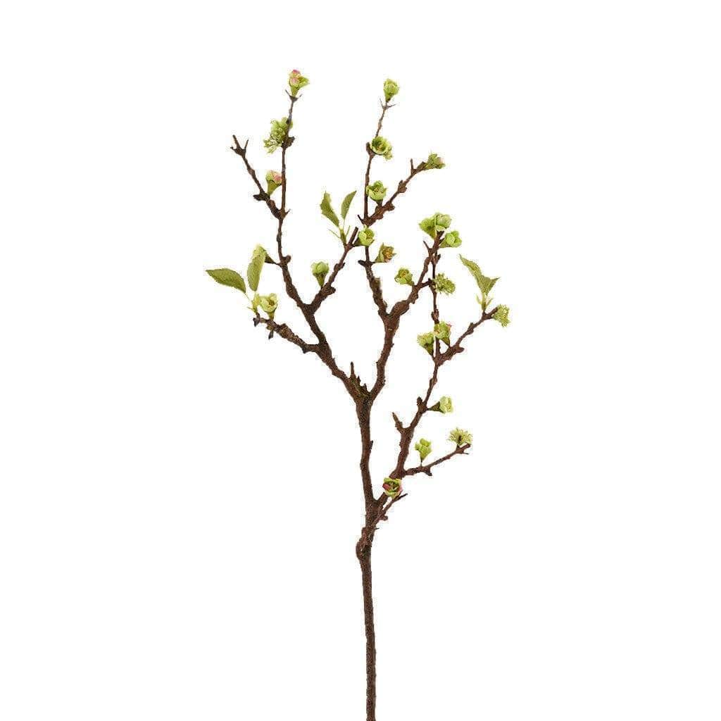 Cherry Blossom - Image 2