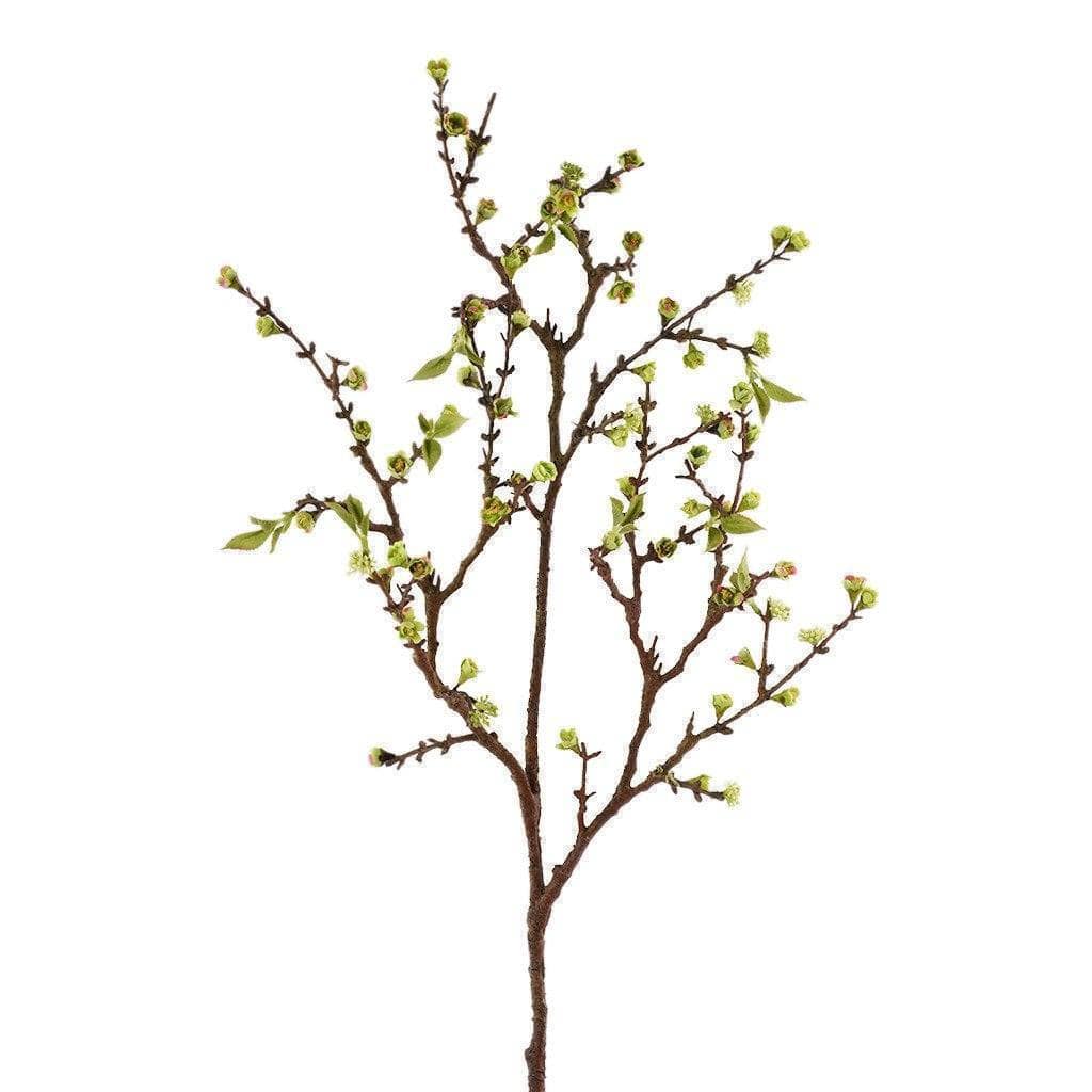 Cherry Blossom - Image 2