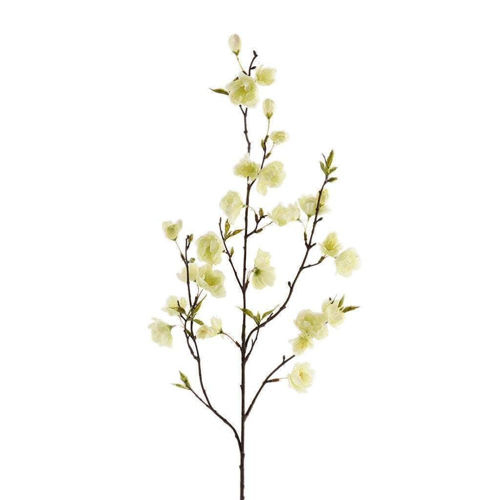Cherry Blossom - Image 3