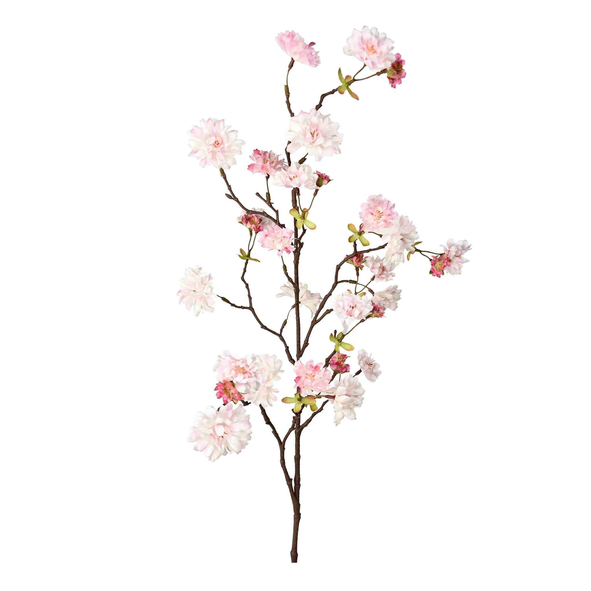 Cherry Blossom - Image 3