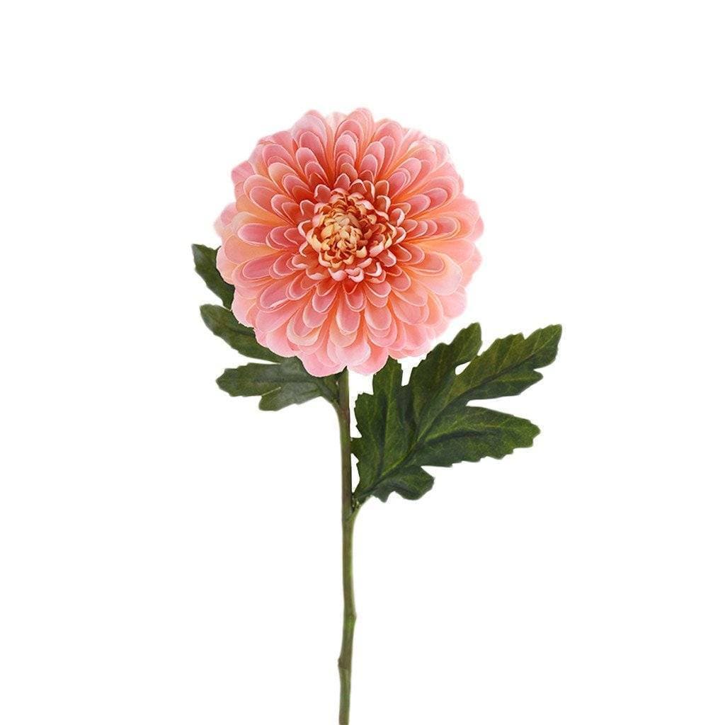 Chrysanthemum - Image 2