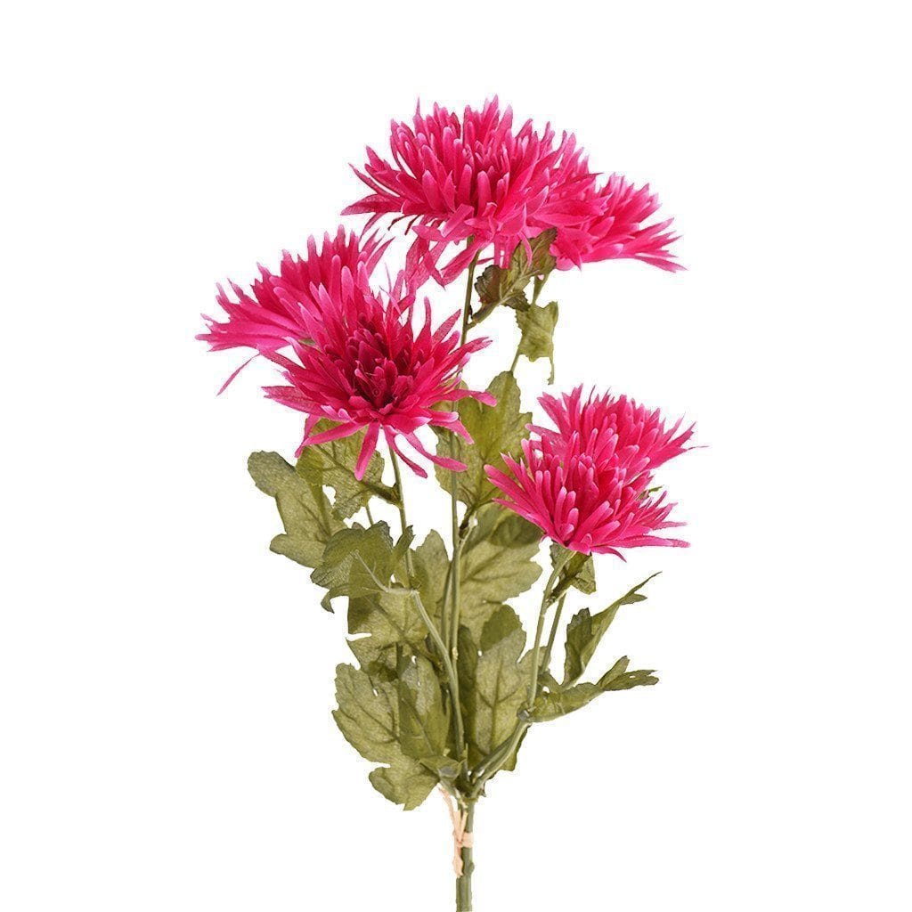 Chrysanthemum - Image 2