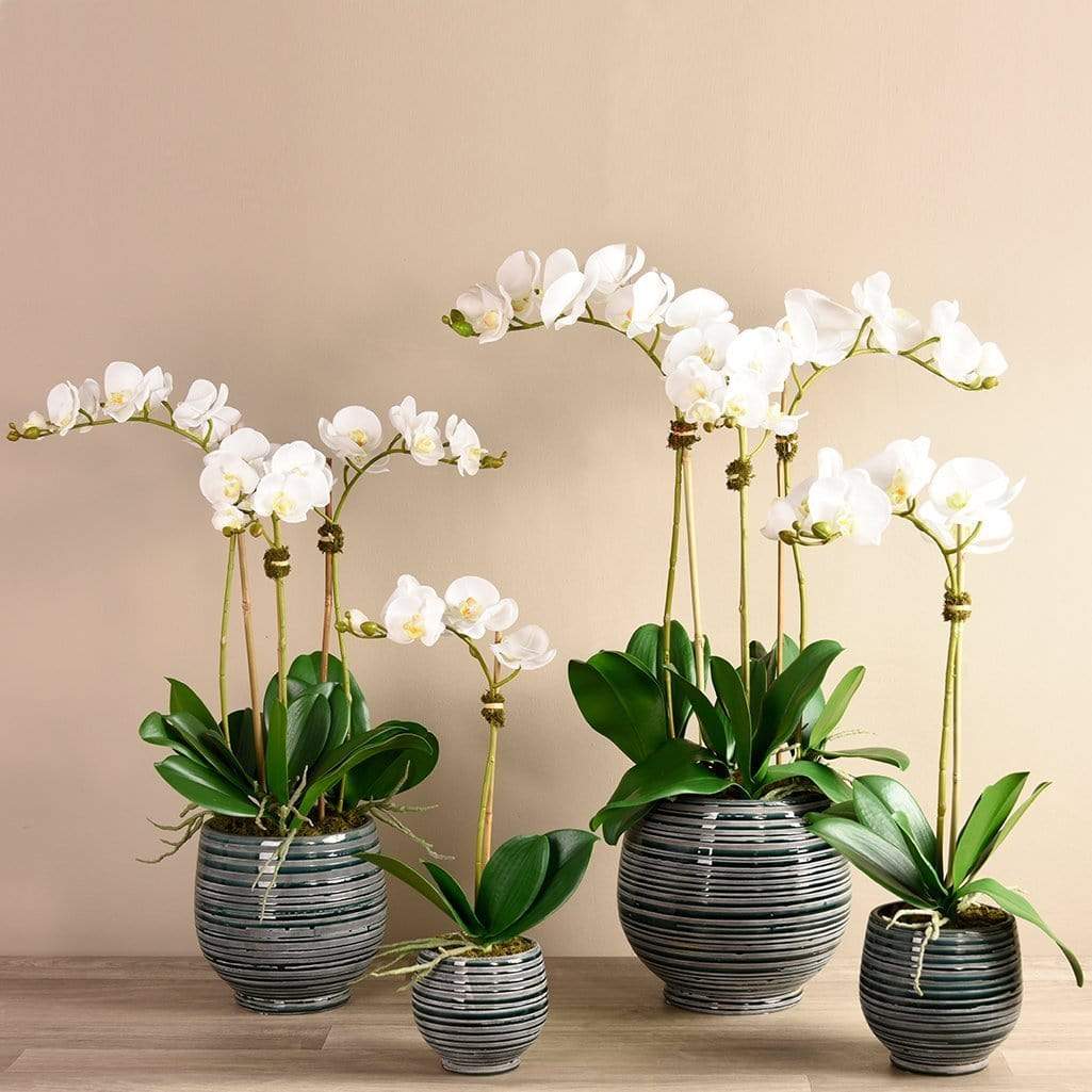 Coastal Artificial Orchid Arrangement - Image 10