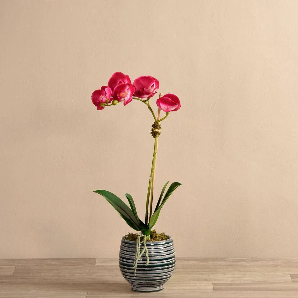 Coastal Artificial Orchid Arrangement - Image 11